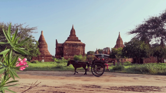 p-styletext-align-centerspanemVous-avez-pris-de-nombreuses-vidéos-de