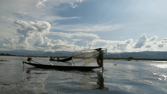 p-styletext-align-centerspanemVous-avez-pris-de-nombreuses-vidéos-de