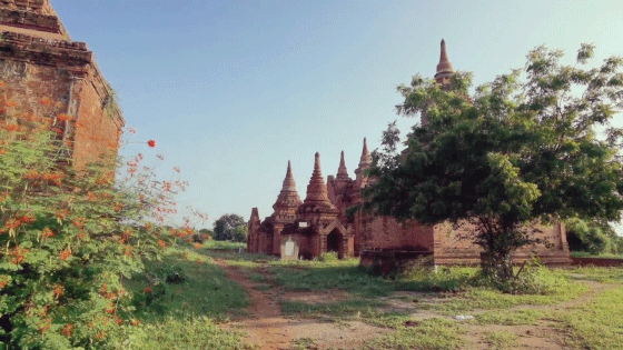 p-styletext-align-centerspanemVous-avez-pris-de-nombreuses-vidéos-de