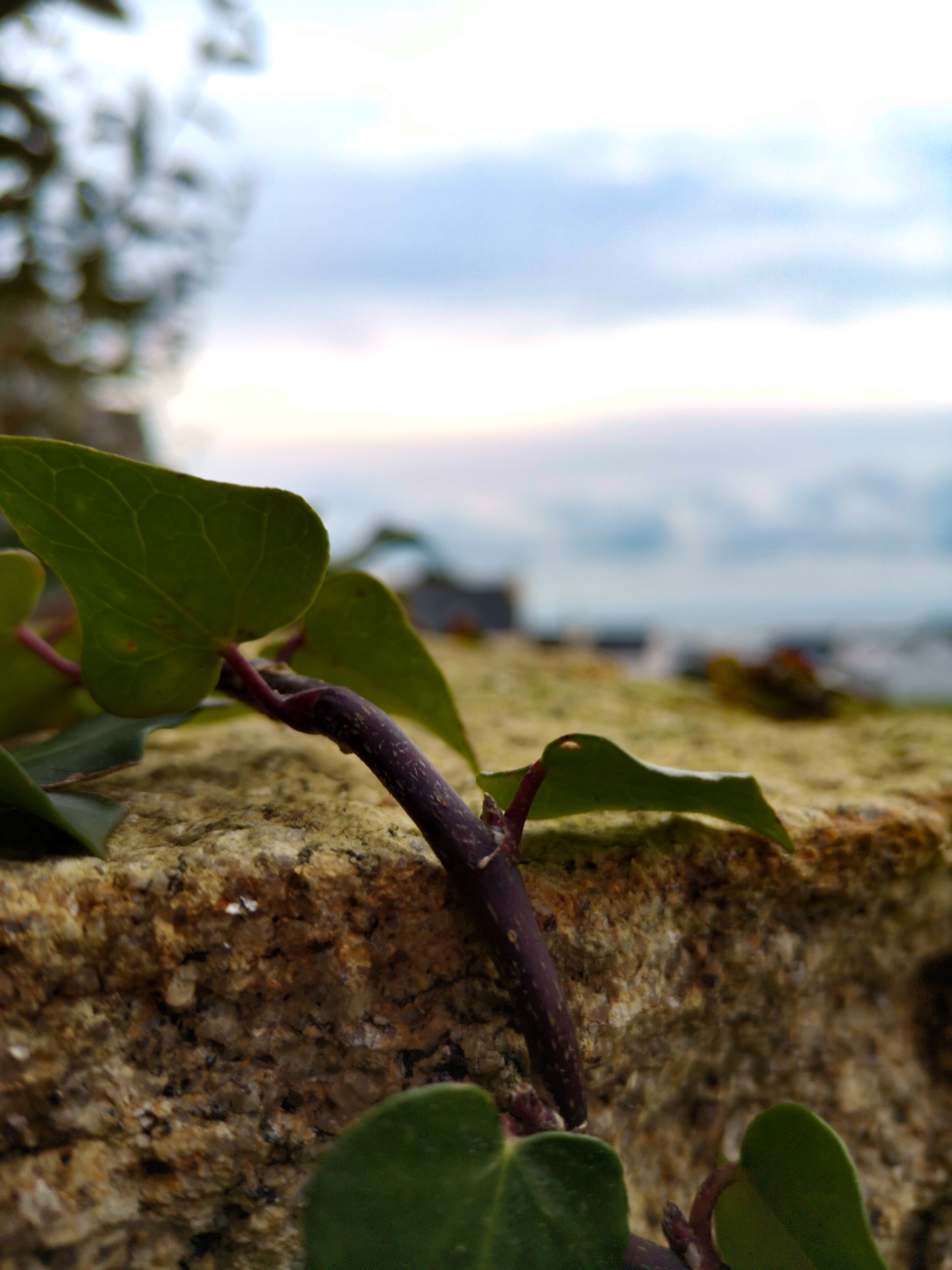 pstrongspan-stylefont-size16px1-puntonerospanstrongppspana