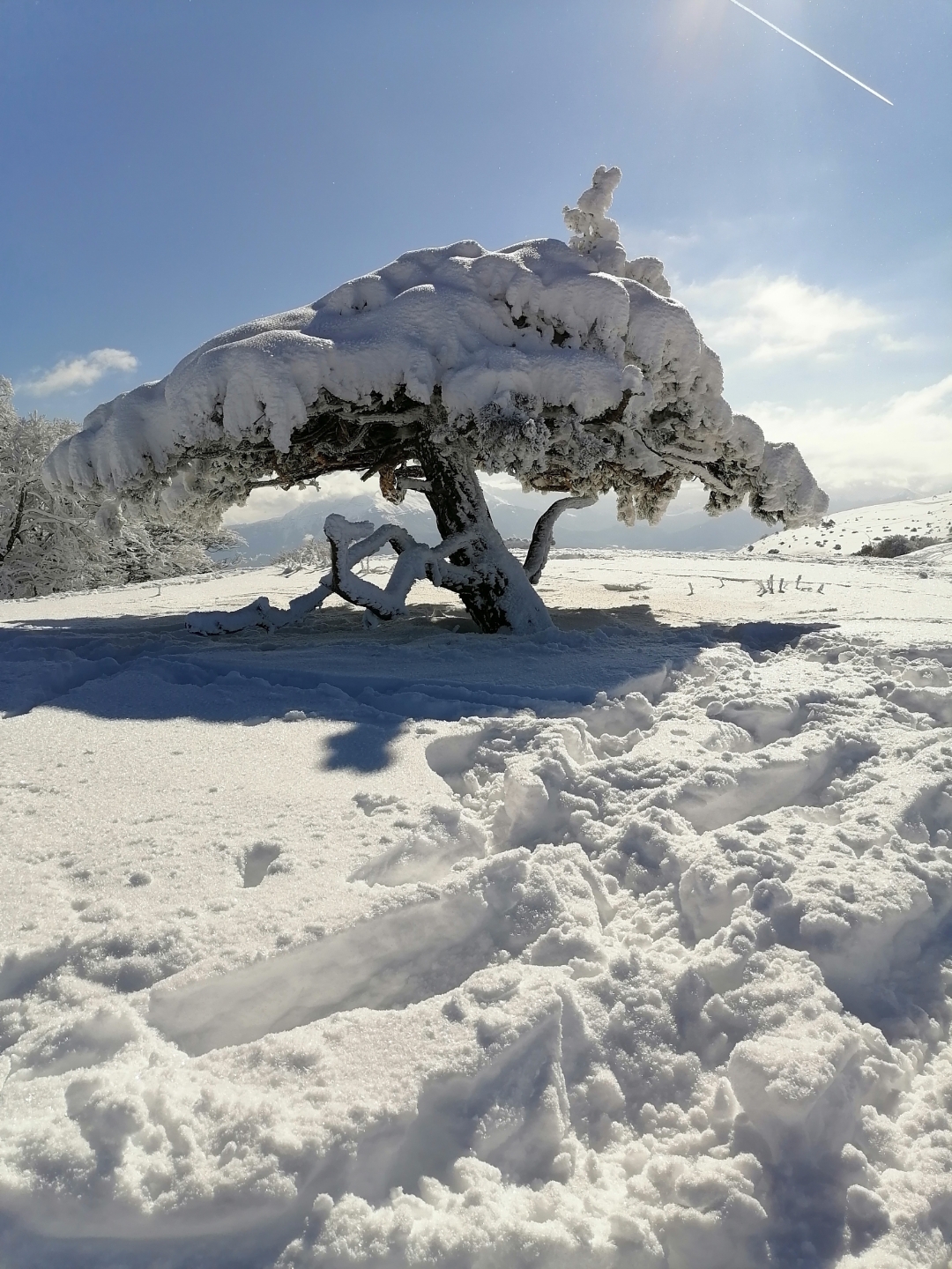 pstrongspan-stylefont-size16px1-puntonerospanstrongppspana