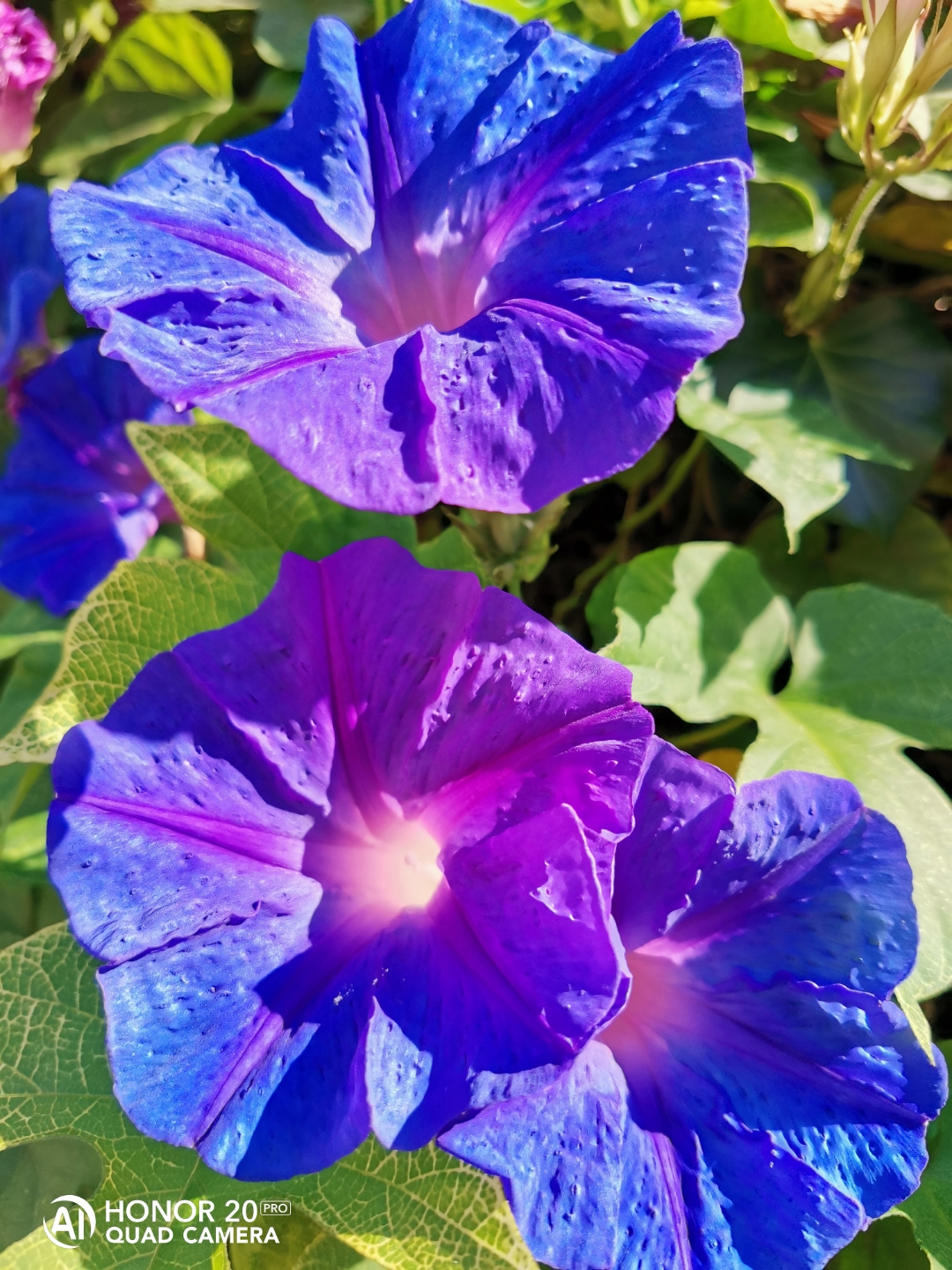 pstrongspan-stylefont-size16px1-puntonerospanstrongppspana