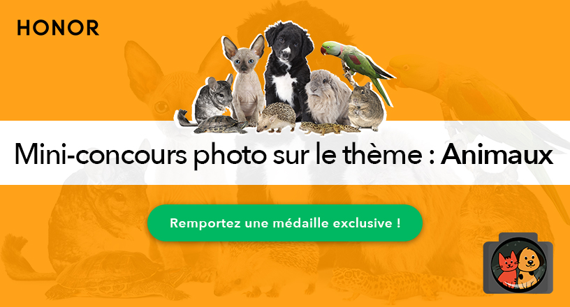 pLe-mois-de-février-est-bel-et-bien-là-Le-temps-passe-vite-non-Comme