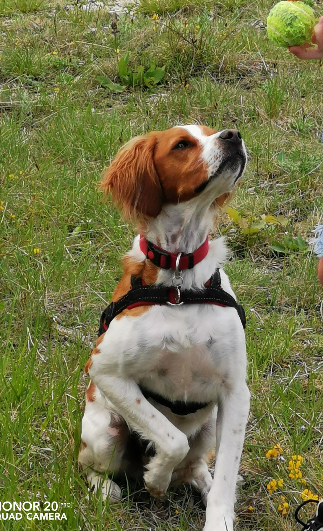 pCest-lheure-des-résultats-La-semaine-dernière-nous-vous-proposions-un