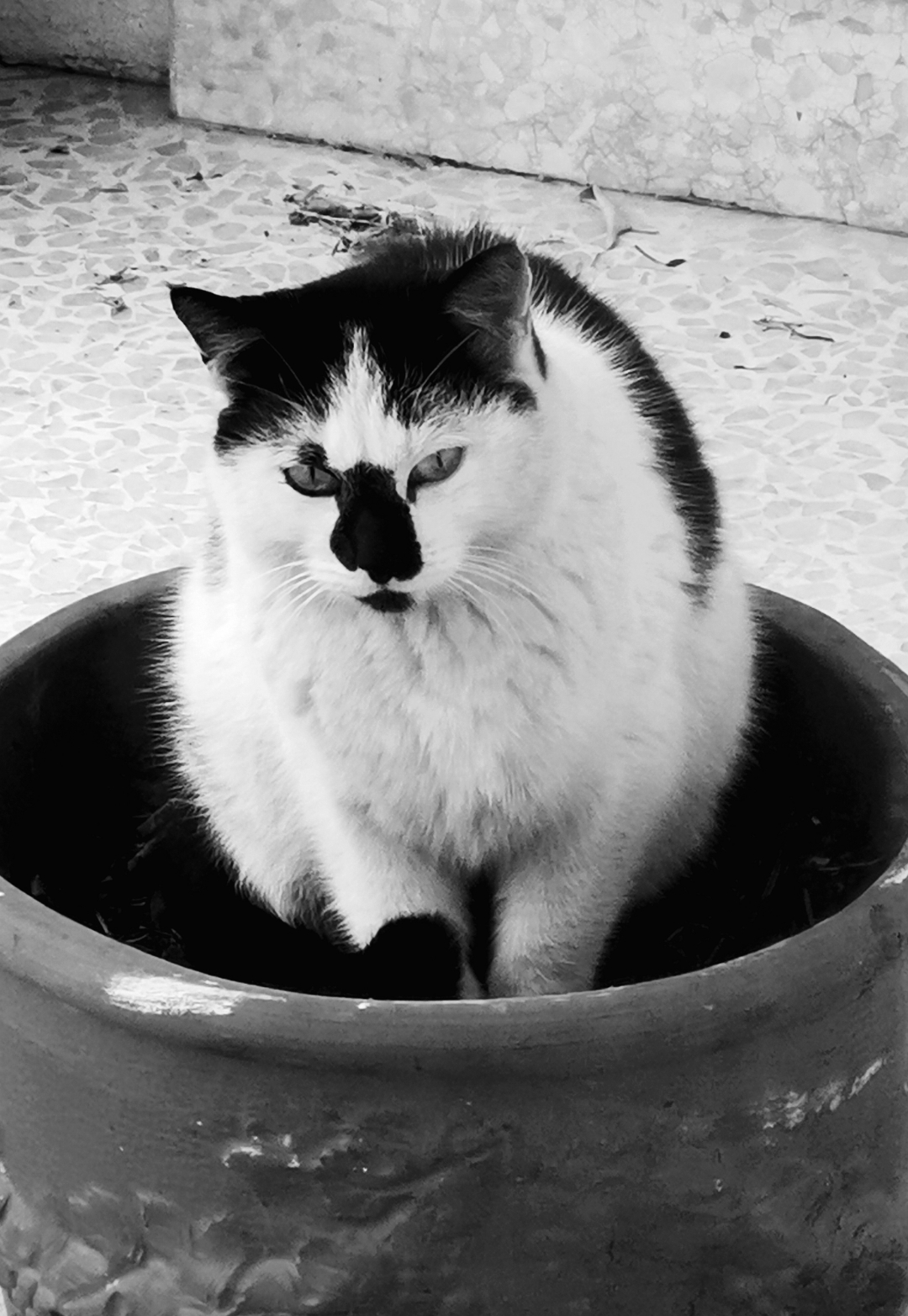 pCest-lheure-des-résultats-La-semaine-dernière-nous-vous-proposions-un