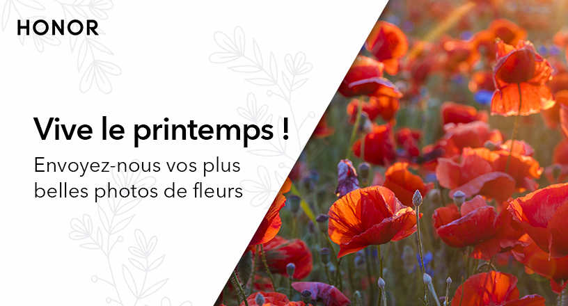 pChers-fansppUne-semaine-pleine-de-surprises-vient-de-se-terminer-et