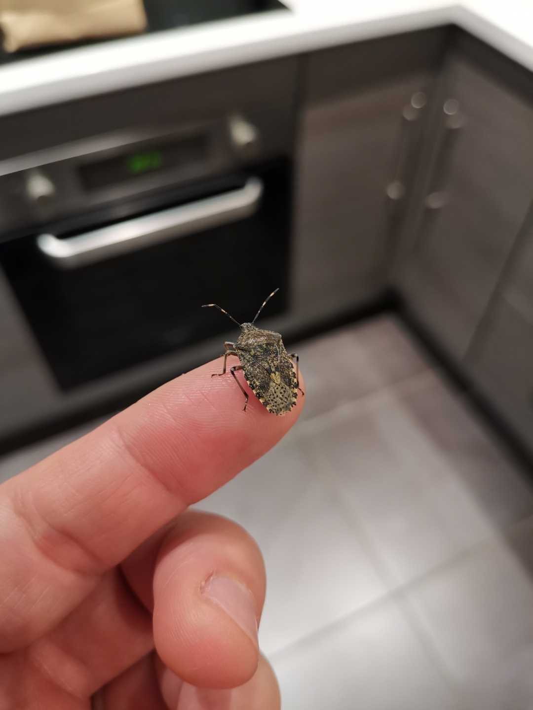 Le-48-Mpx-ça-ne-sert-à-rien-