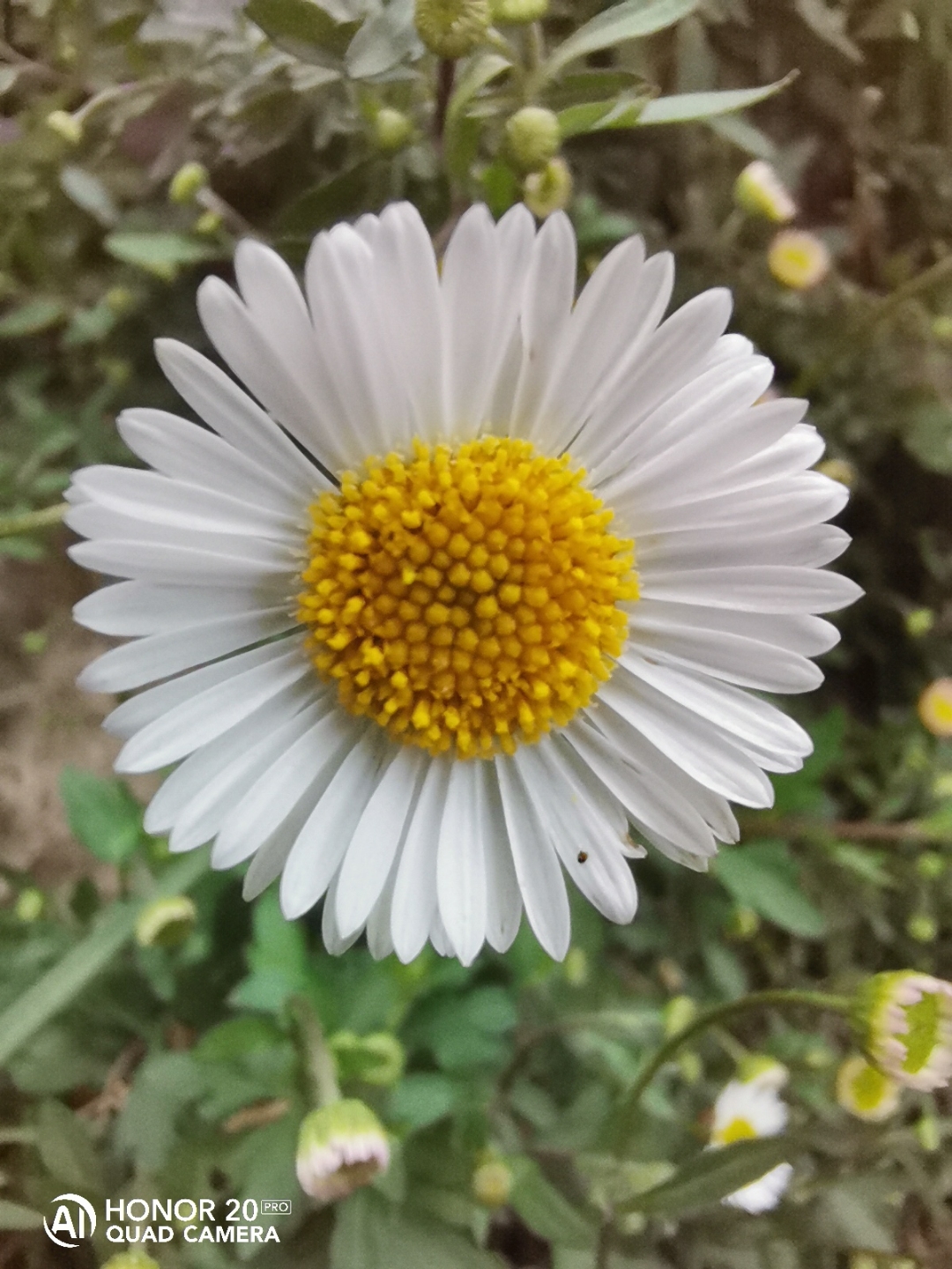 pCest-lheure-des-résultats-La-semaine-dernière-nous-vous-proposions-a