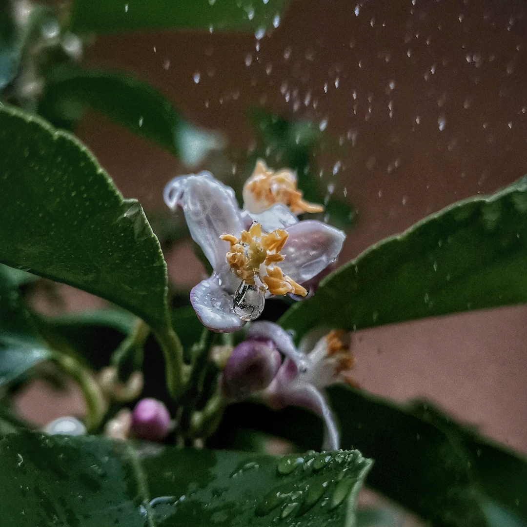 pCest-lheure-des-résultats-La-semaine-dernière-nous-vous-proposions-a