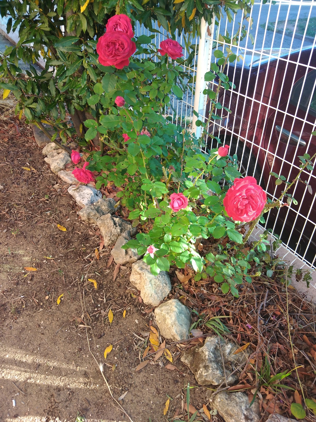 pCest-lheure-des-résultats-La-semaine-dernière-nous-vous-proposions-a