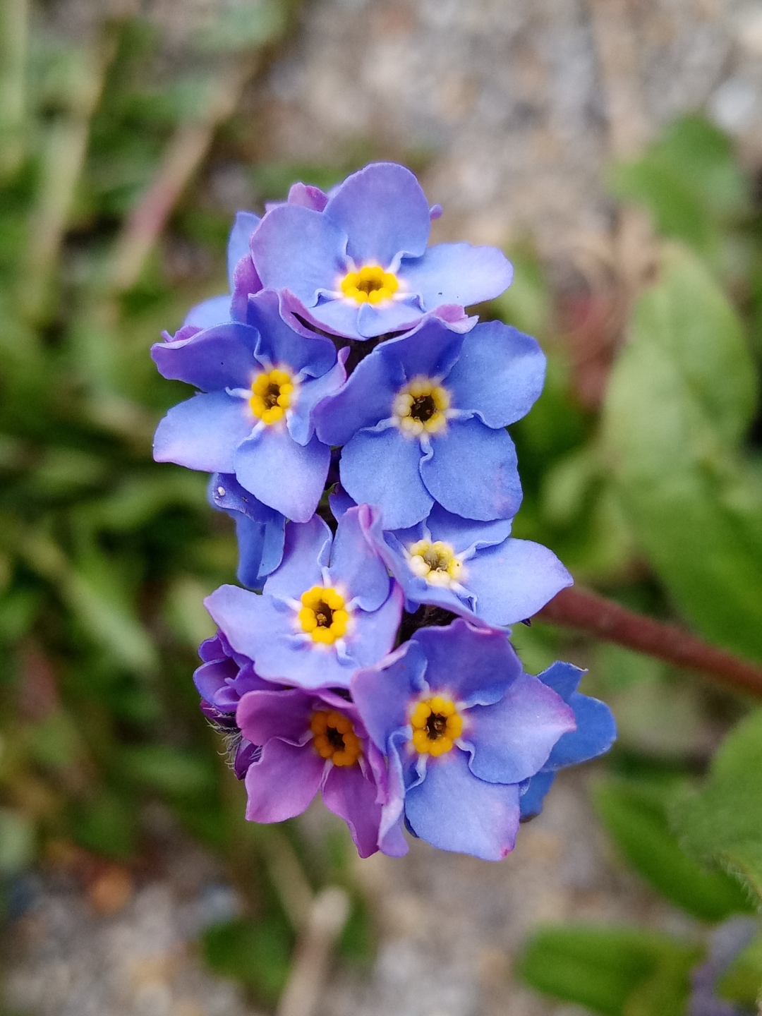 pCest-lheure-des-résultats-La-semaine-dernière-nous-vous-proposions-a
