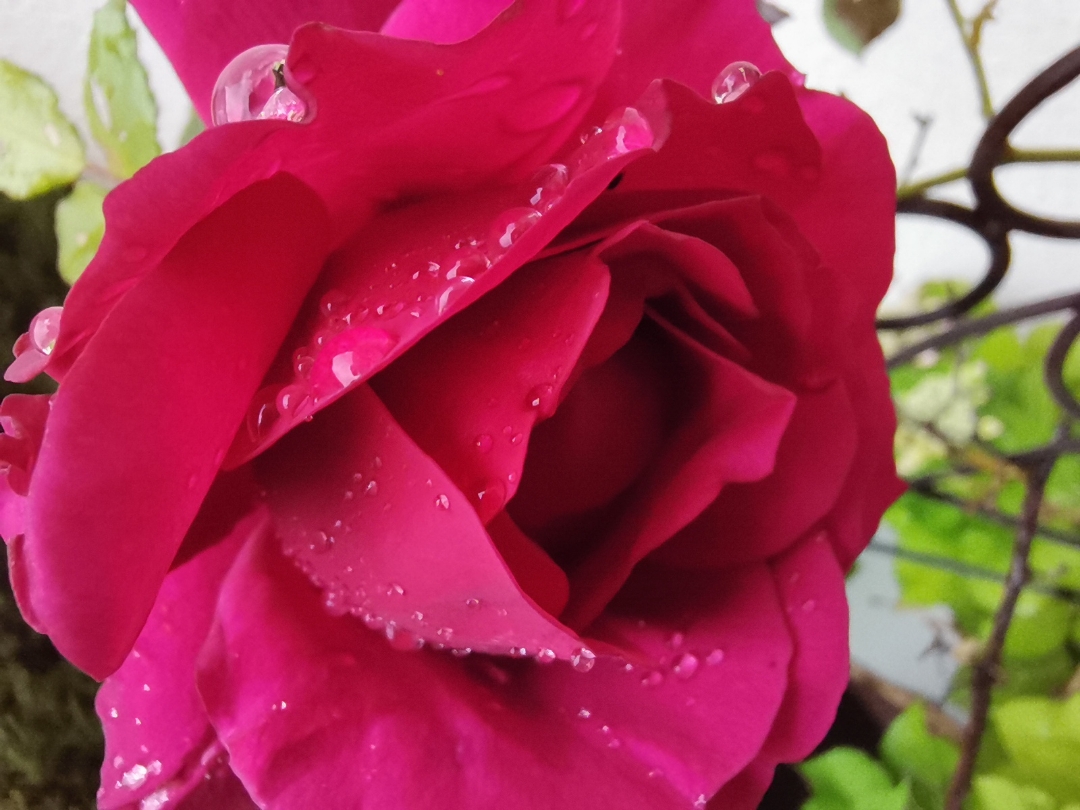 pCest-lheure-des-résultats-La-semaine-dernière-nous-vous-proposions-a