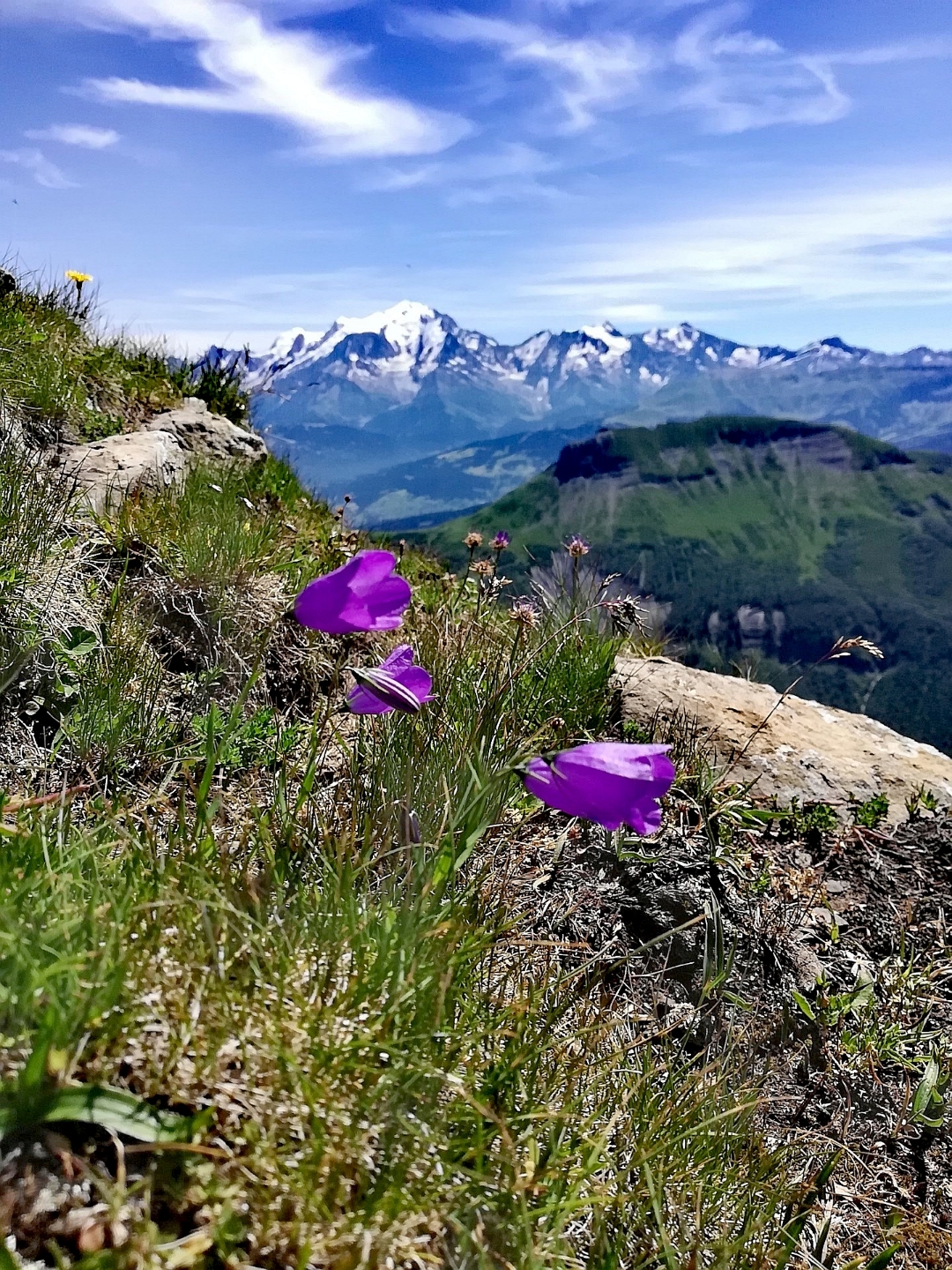pCest-lheure-des-résultats-La-semaine-dernière-nous-vous-proposions-a