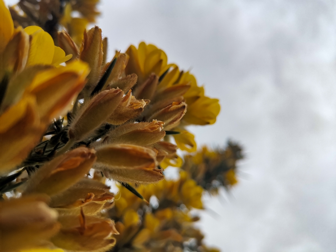 pCest-lheure-des-résultats-La-semaine-dernière-nous-vous-proposions-a