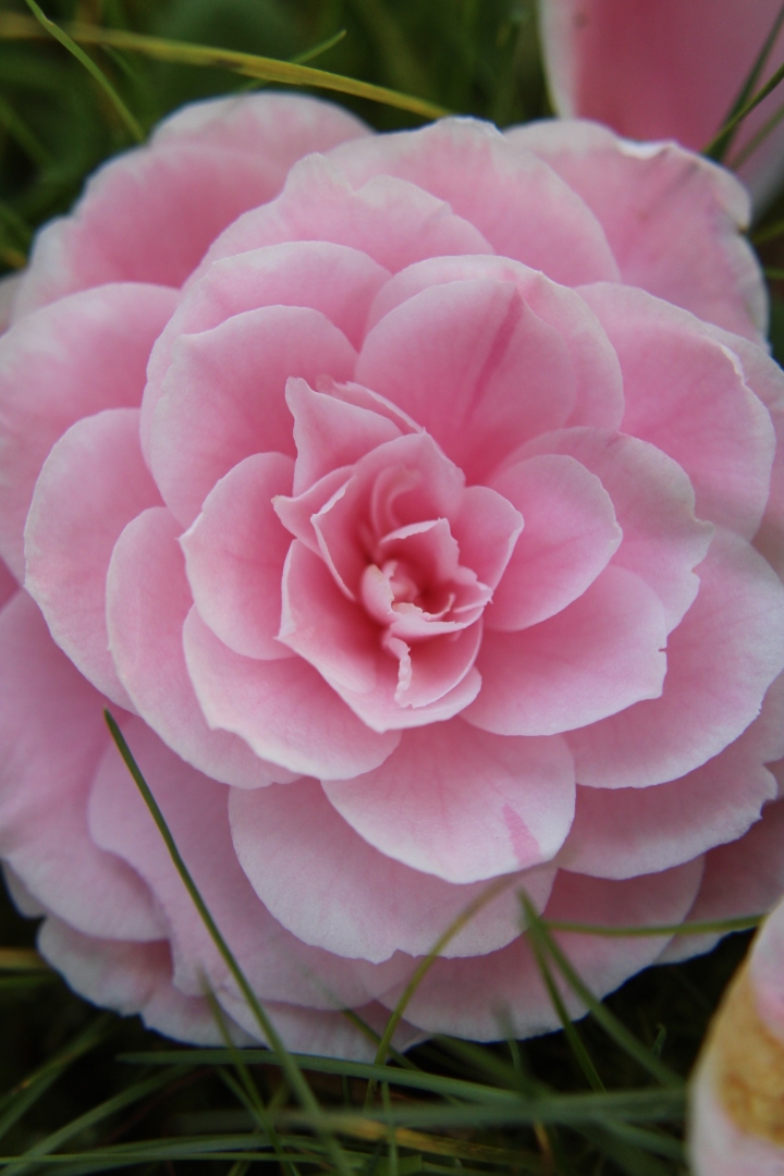 pCest-lheure-des-résultats-La-semaine-dernière-nous-vous-proposions-a