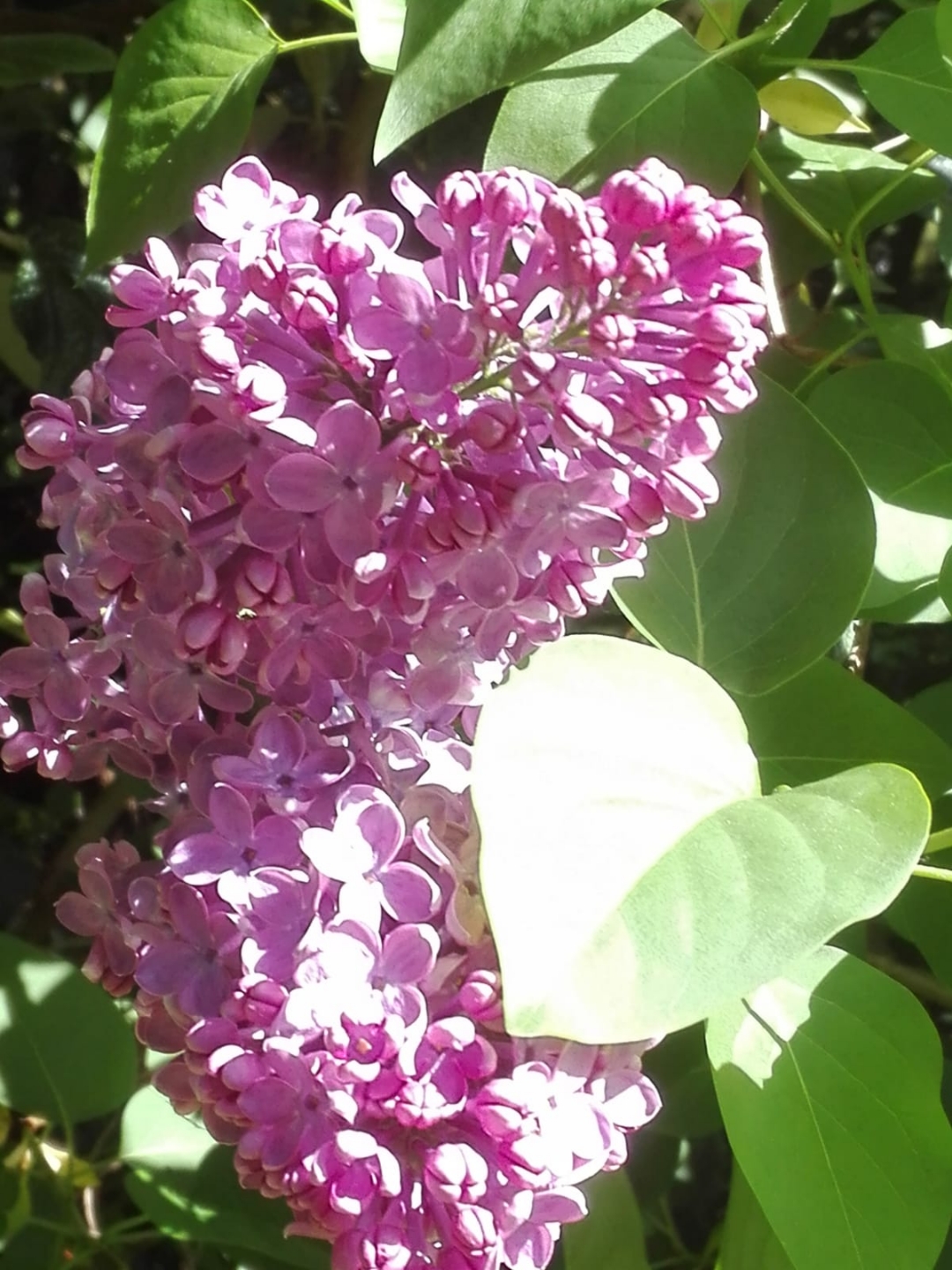 pCest-lheure-des-résultats-La-semaine-dernière-nous-vous-proposions-a