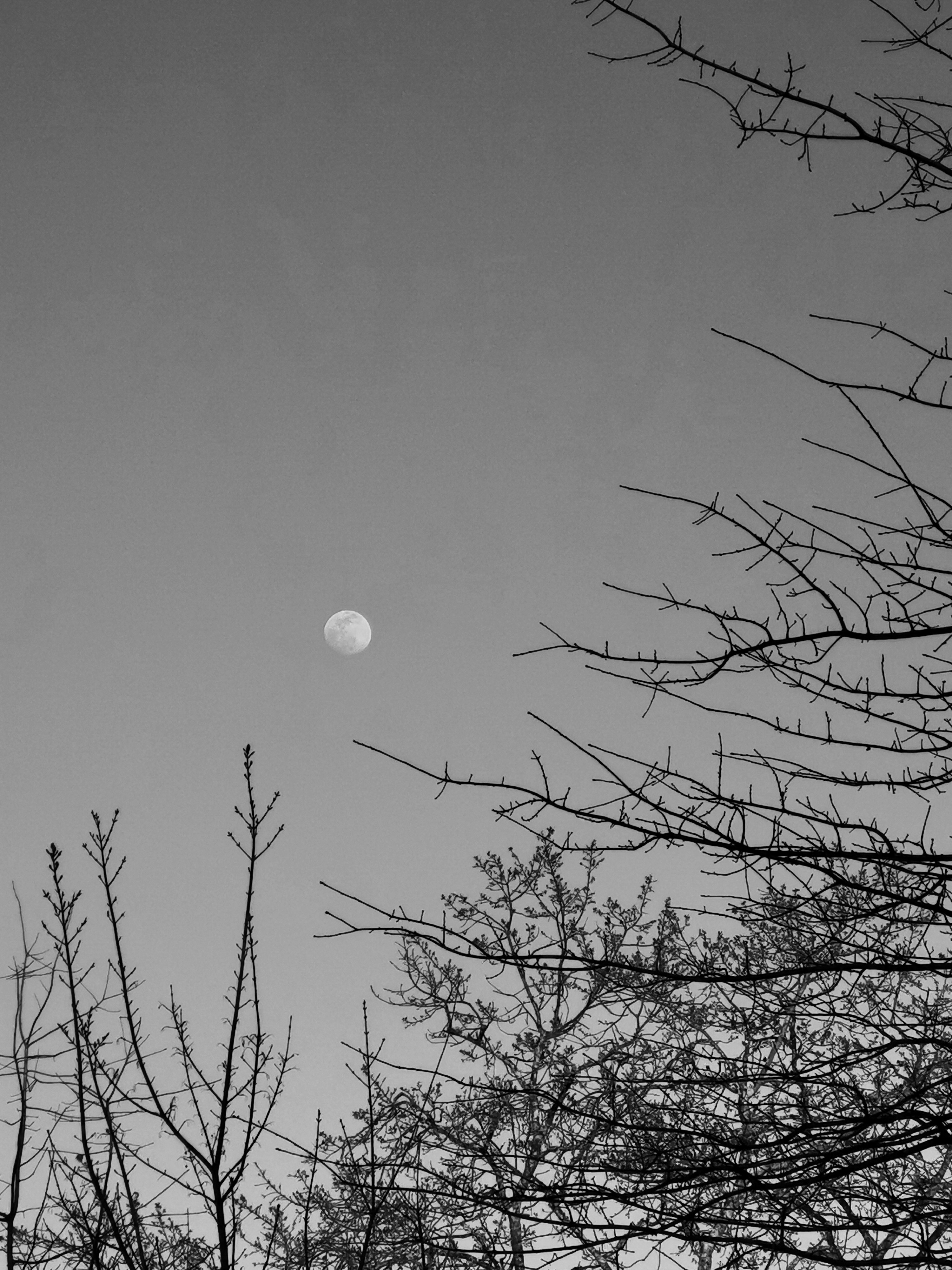 pspan-stylefont-size16pxHello-les-fans-spanppspan-stylefont