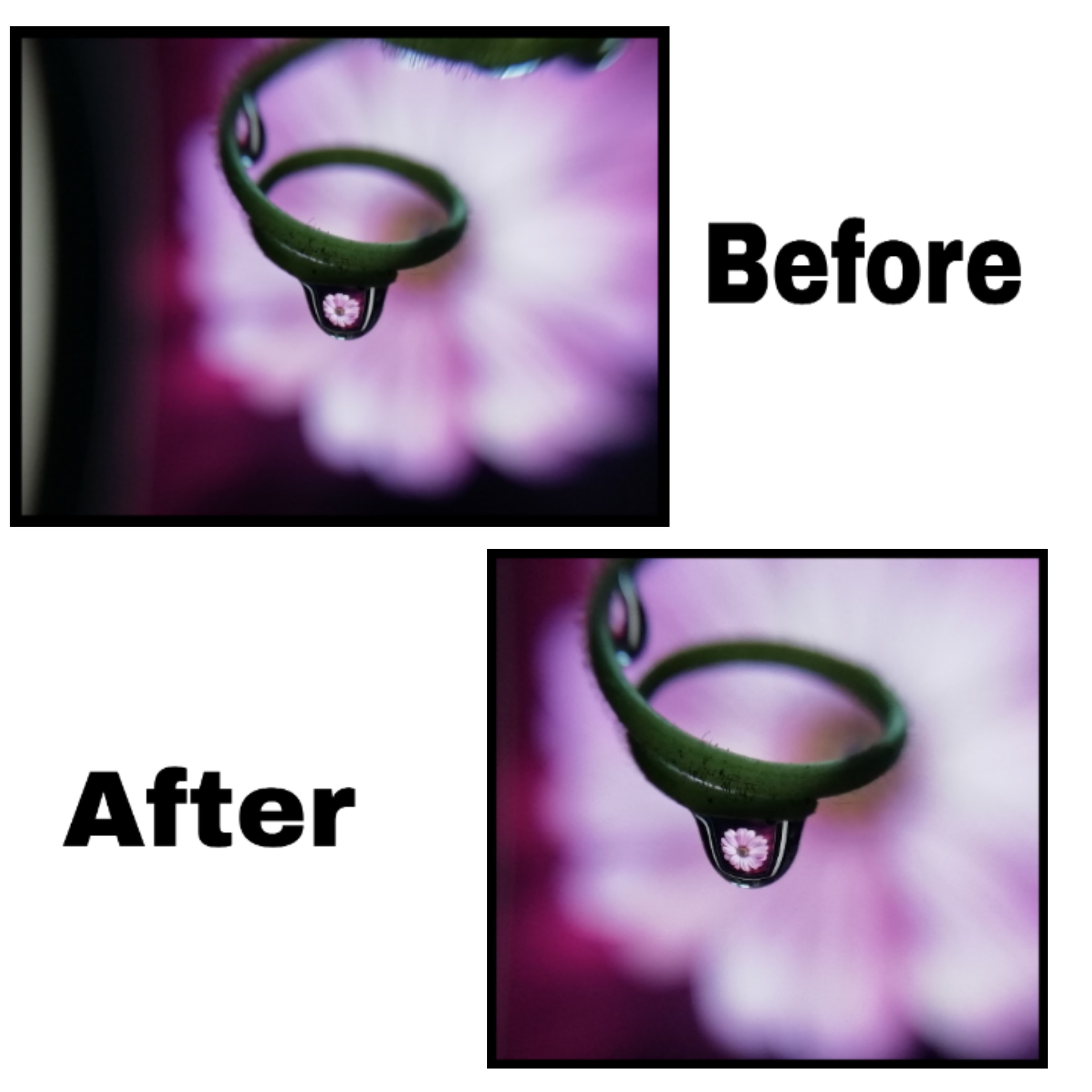 pspanLédition-de-photos-est-létape-la-plus-importante-pour-un