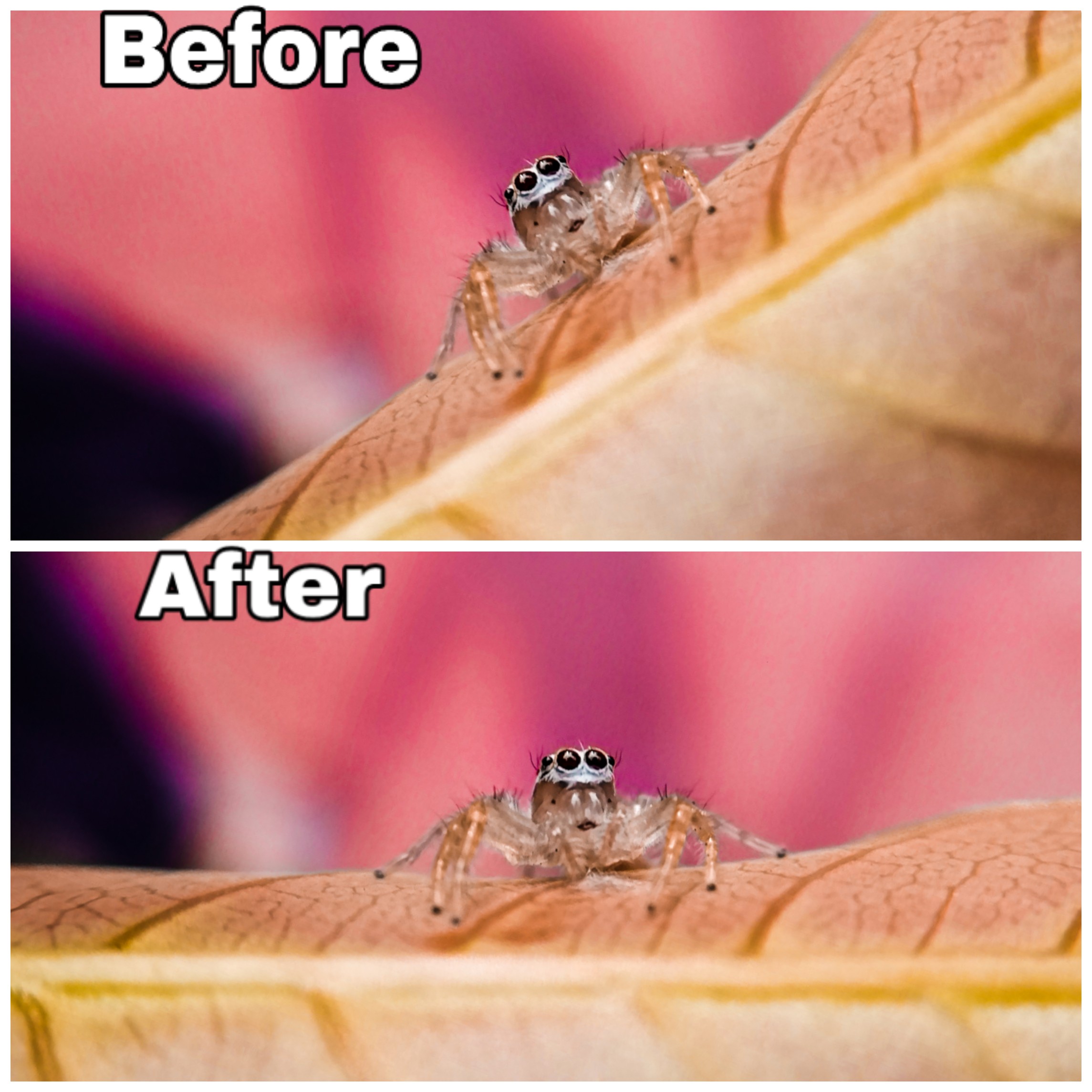 pspanLédition-de-photos-est-létape-la-plus-importante-pour-un