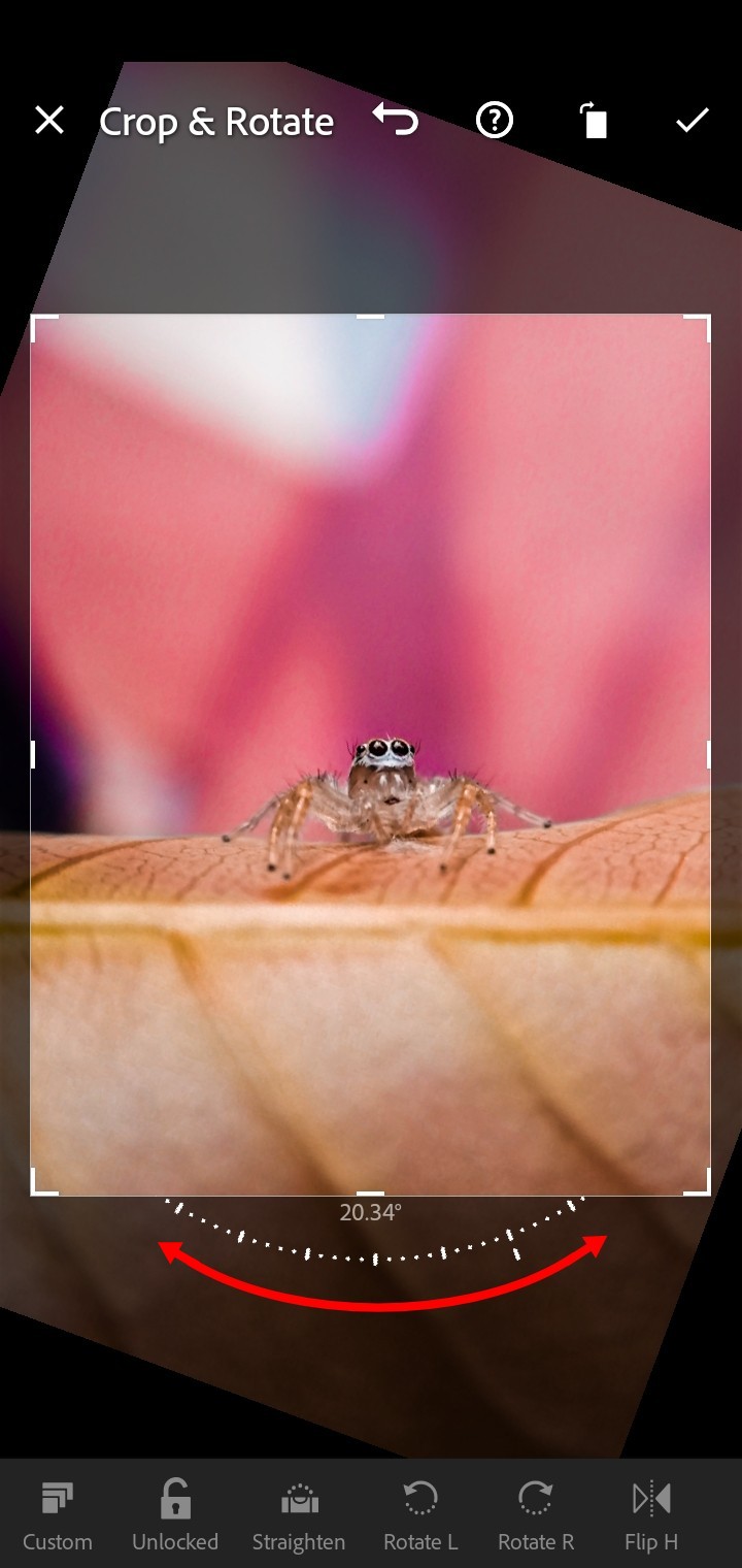 pspanLédition-de-photos-est-létape-la-plus-importante-pour-un