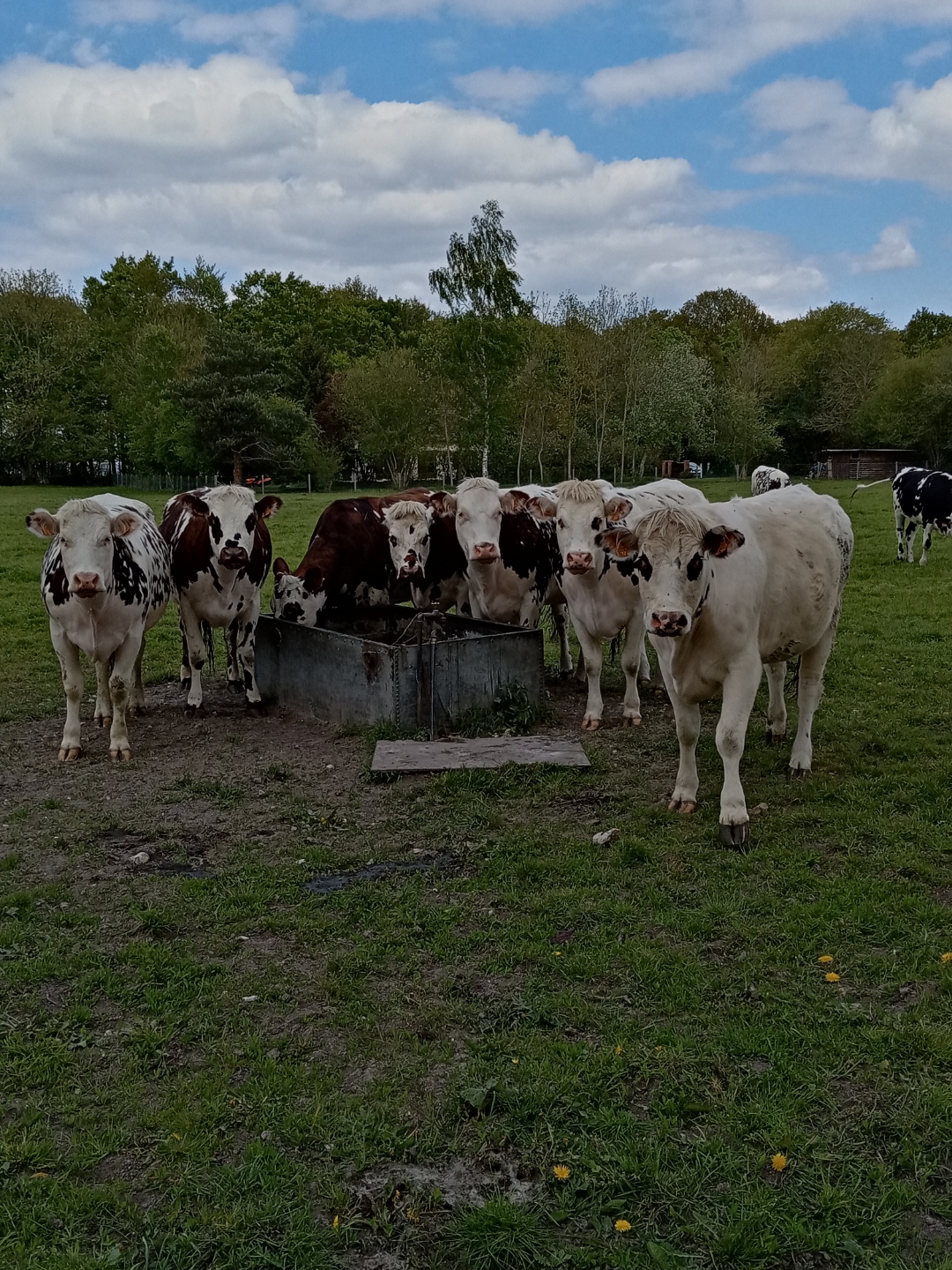 pNouvelle-semaine-nouvelle-sélection-de-photos-Comme-chaque-fois-vous