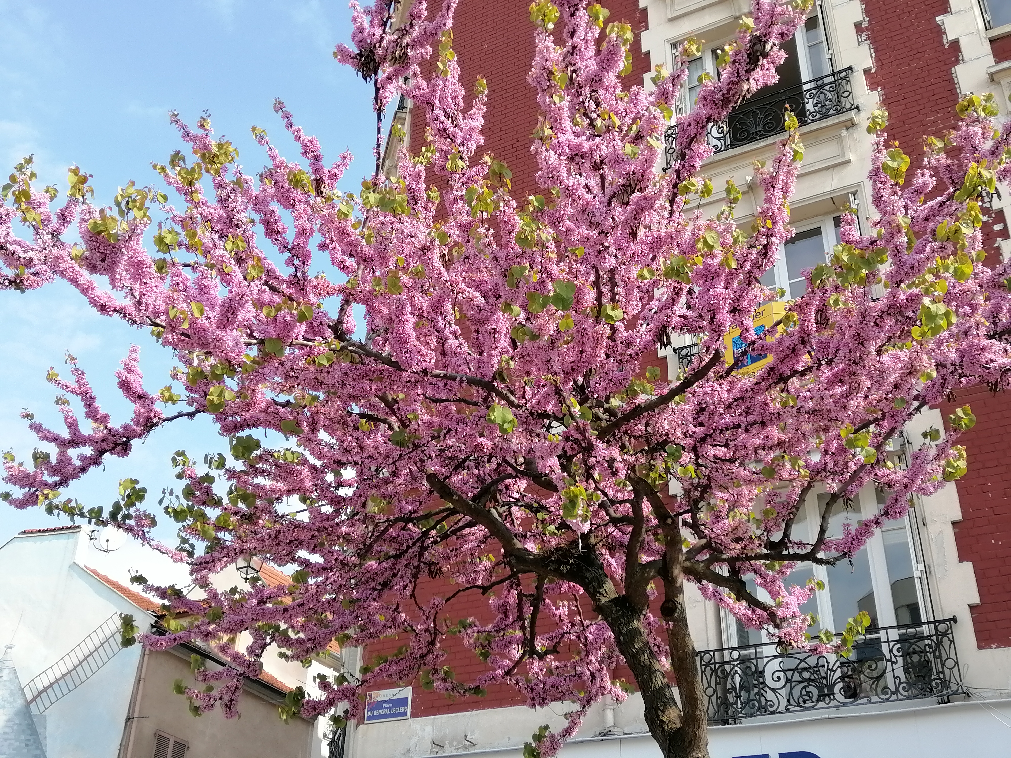 pNouvelle-semaine-nouvelle-sélection-de-photos-Comme-chaque-fois-vous