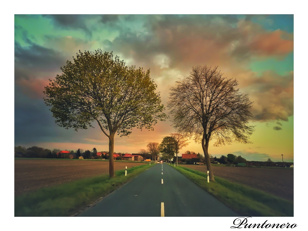 pNouvelle-semaine-nouvelle-sélection-de-photos-Comme-chaque-fois-vous