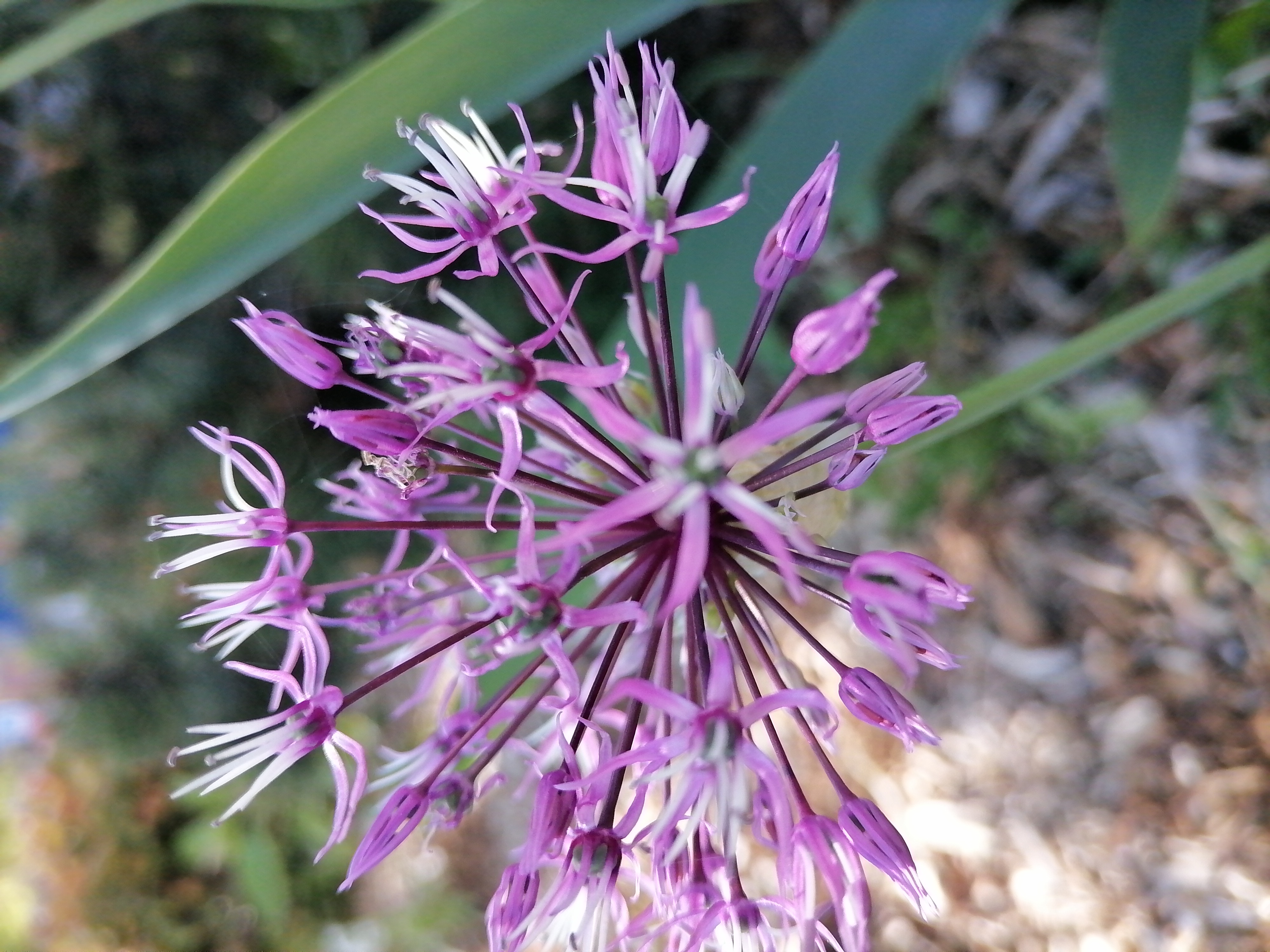 pNouvelle-semaine-nouvelle-sélection-de-photos-Comme-chaque-fois-vous