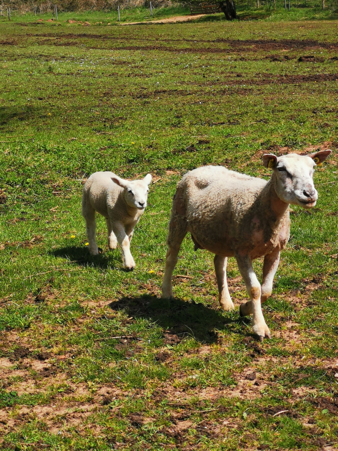 pNouvelle-semaine-nouvelle-sélection-de-photos-Comme-chaque-fois-vous