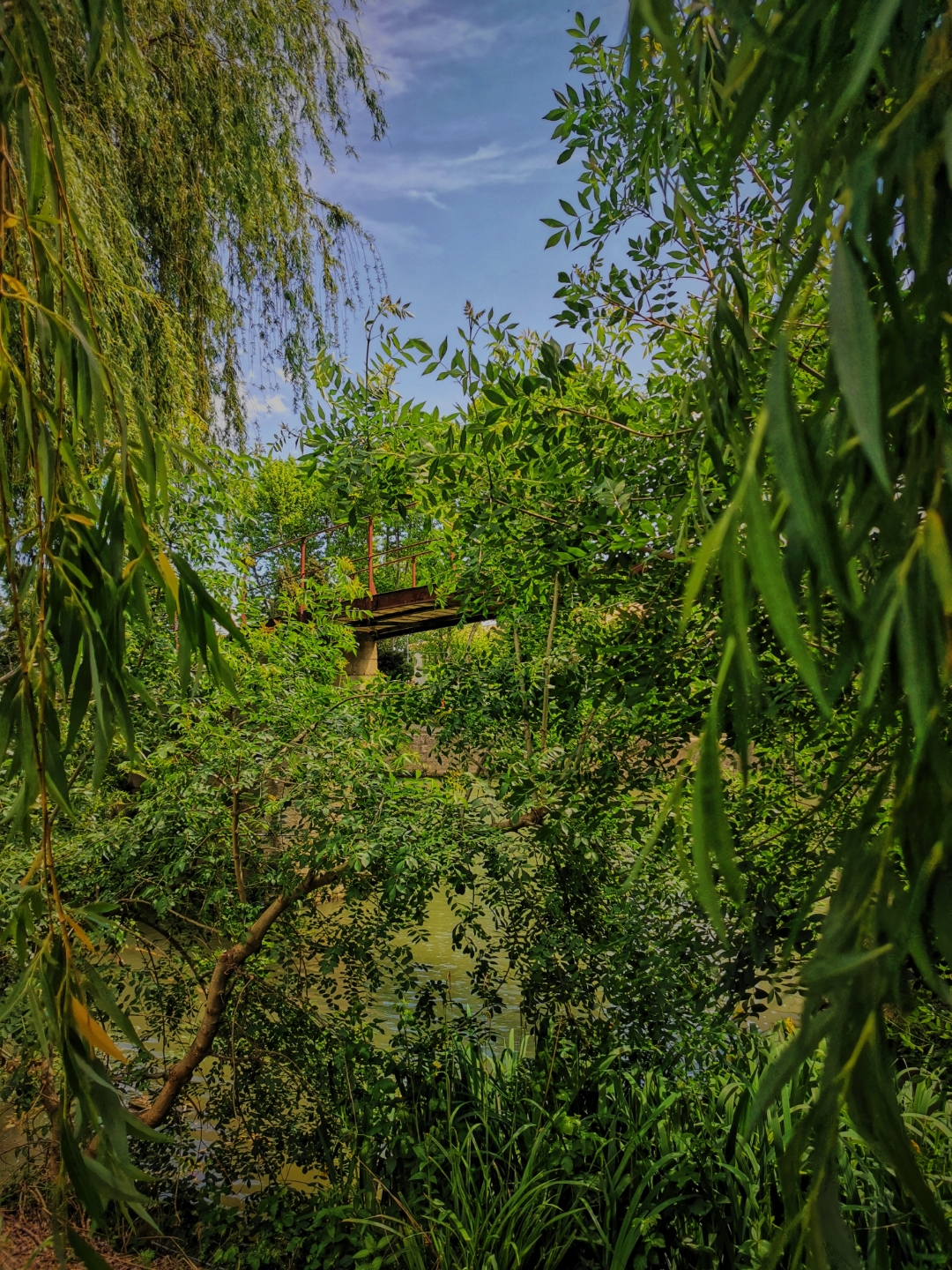 pNouvelle-semaine-nouvelle-sélection-de-photos-Comme-chaque-fois-vous