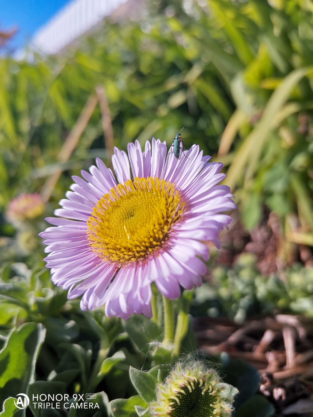 pNouvelle-semaine-nouvelle-sélection-de-photos-Comme-chaque-fois-vous