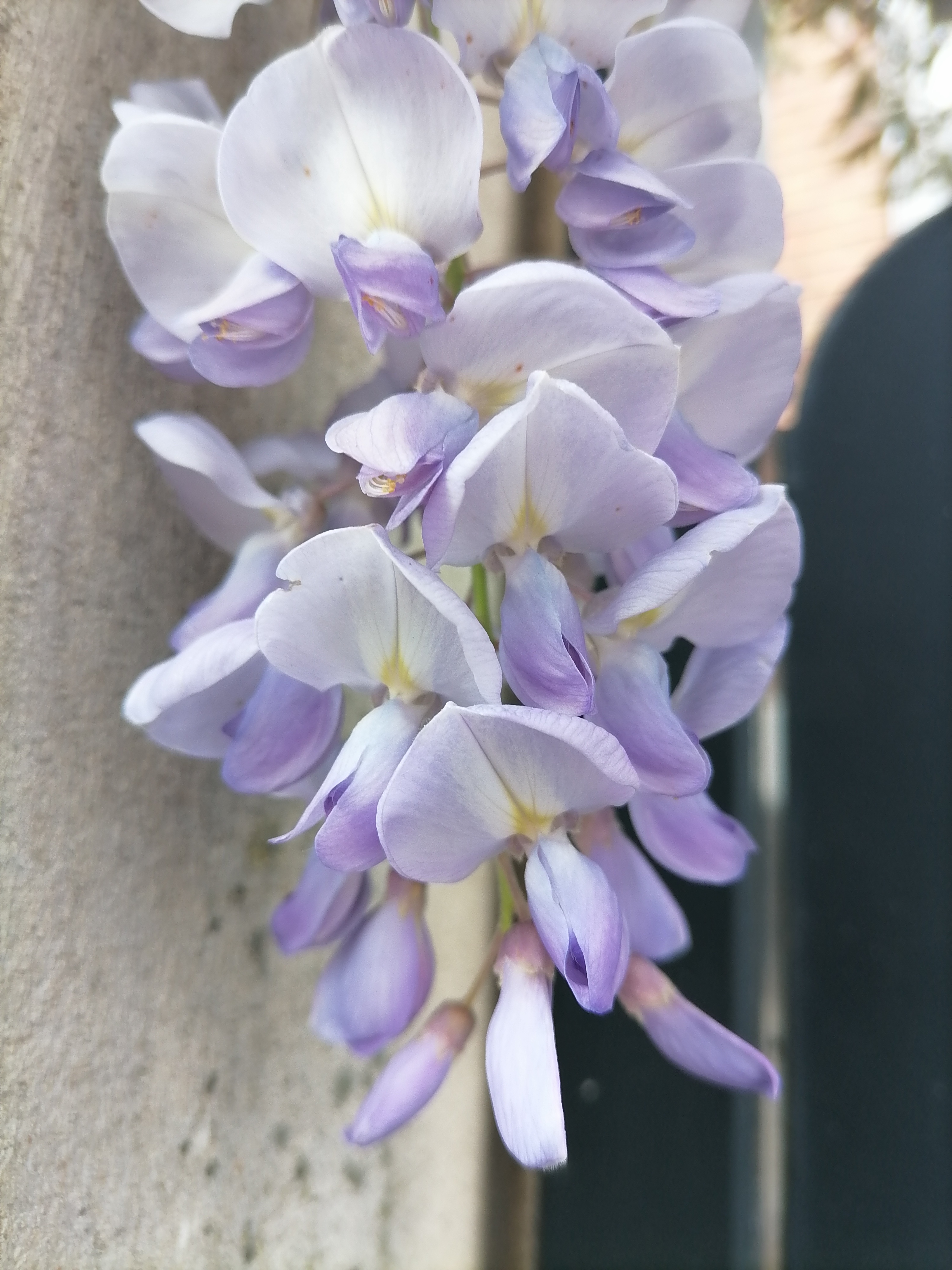 pNouvelle-semaine-nouvelle-sélection-de-photos-Comme-chaque-fois-vous