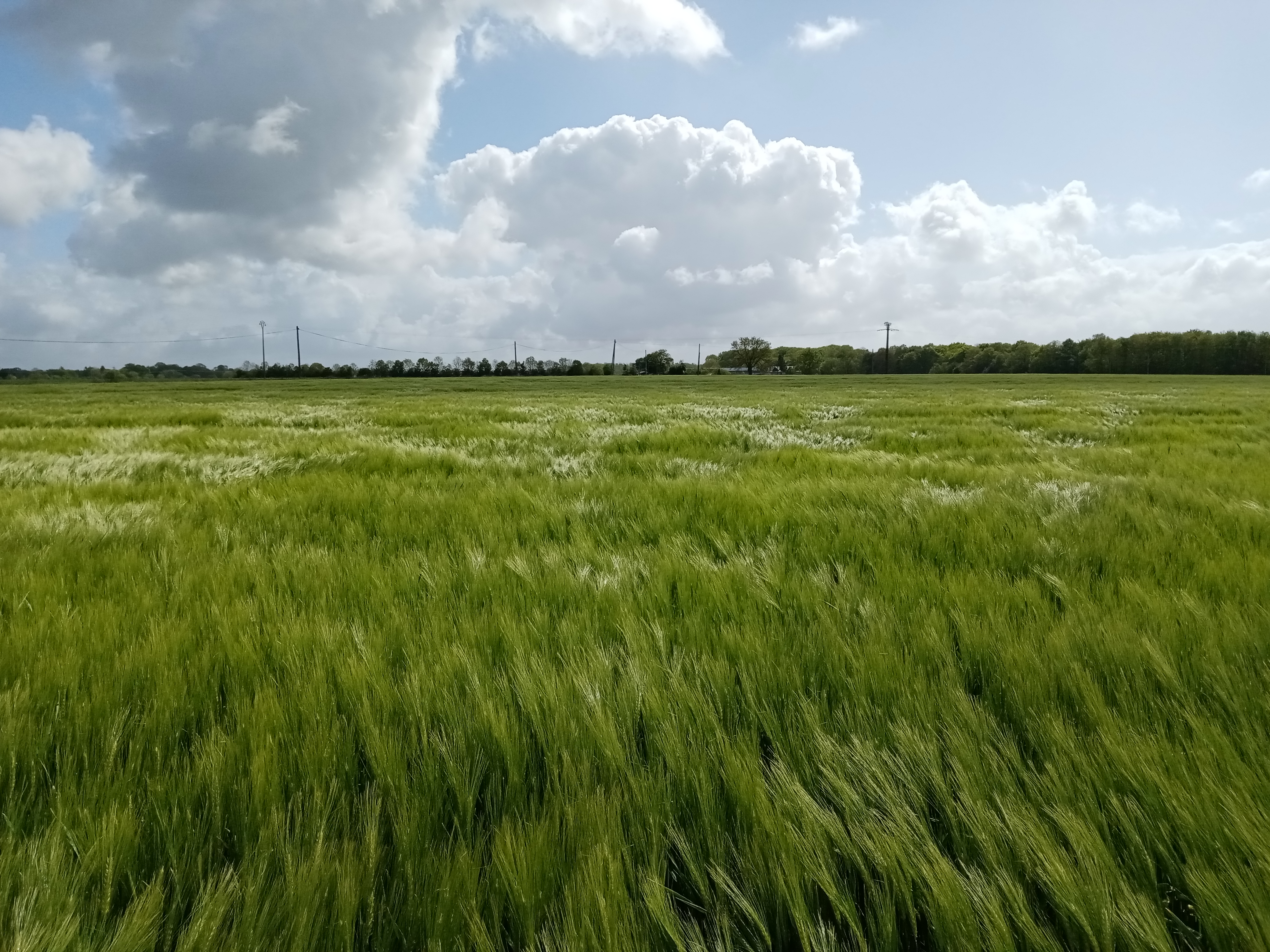 pspanAvant-tout-je-souhaite-mexcuser-pour-cette-sélection-photo-de-la