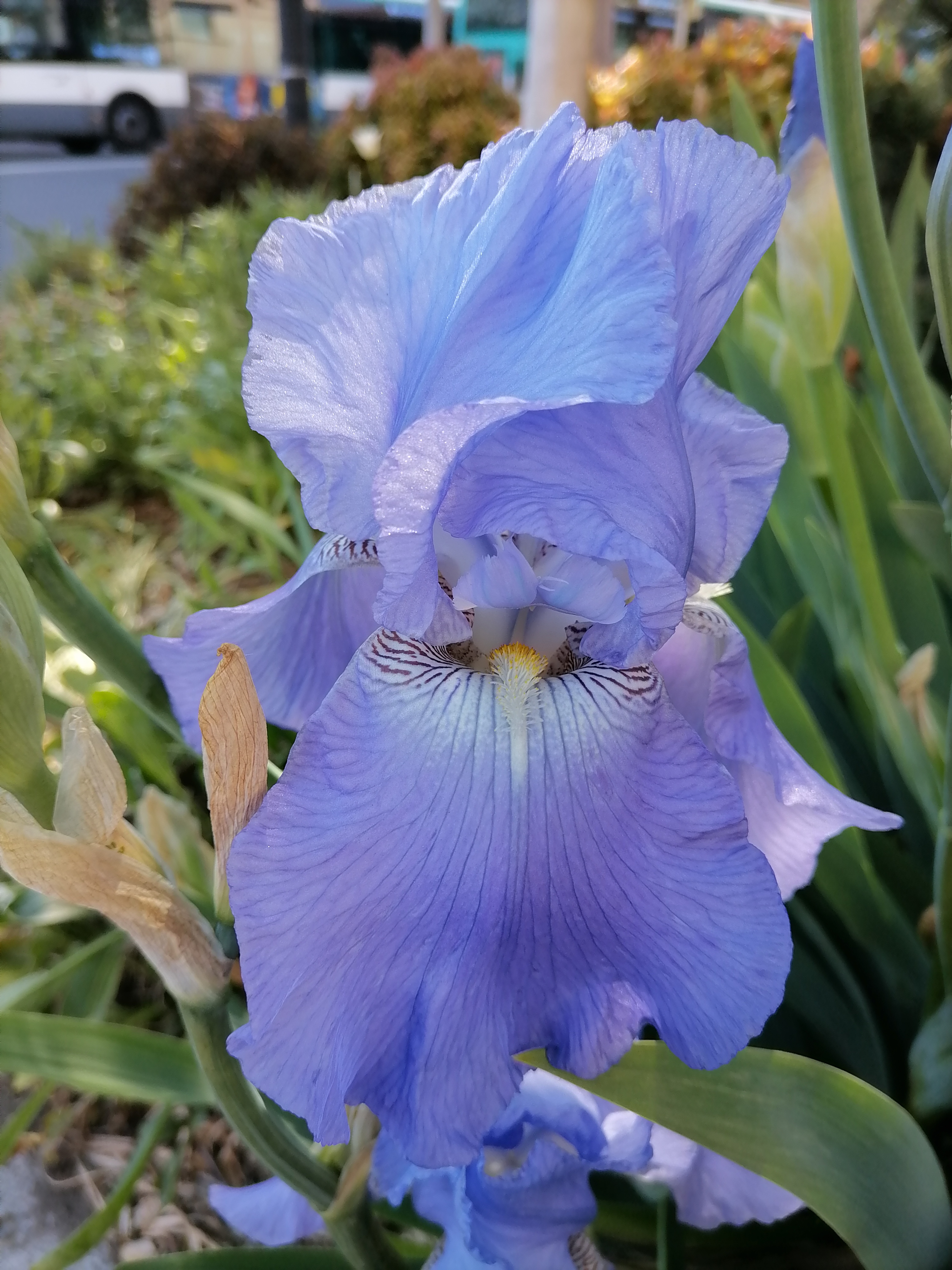 pspanAvant-tout-je-souhaite-mexcuser-pour-cette-sélection-photo-de-la