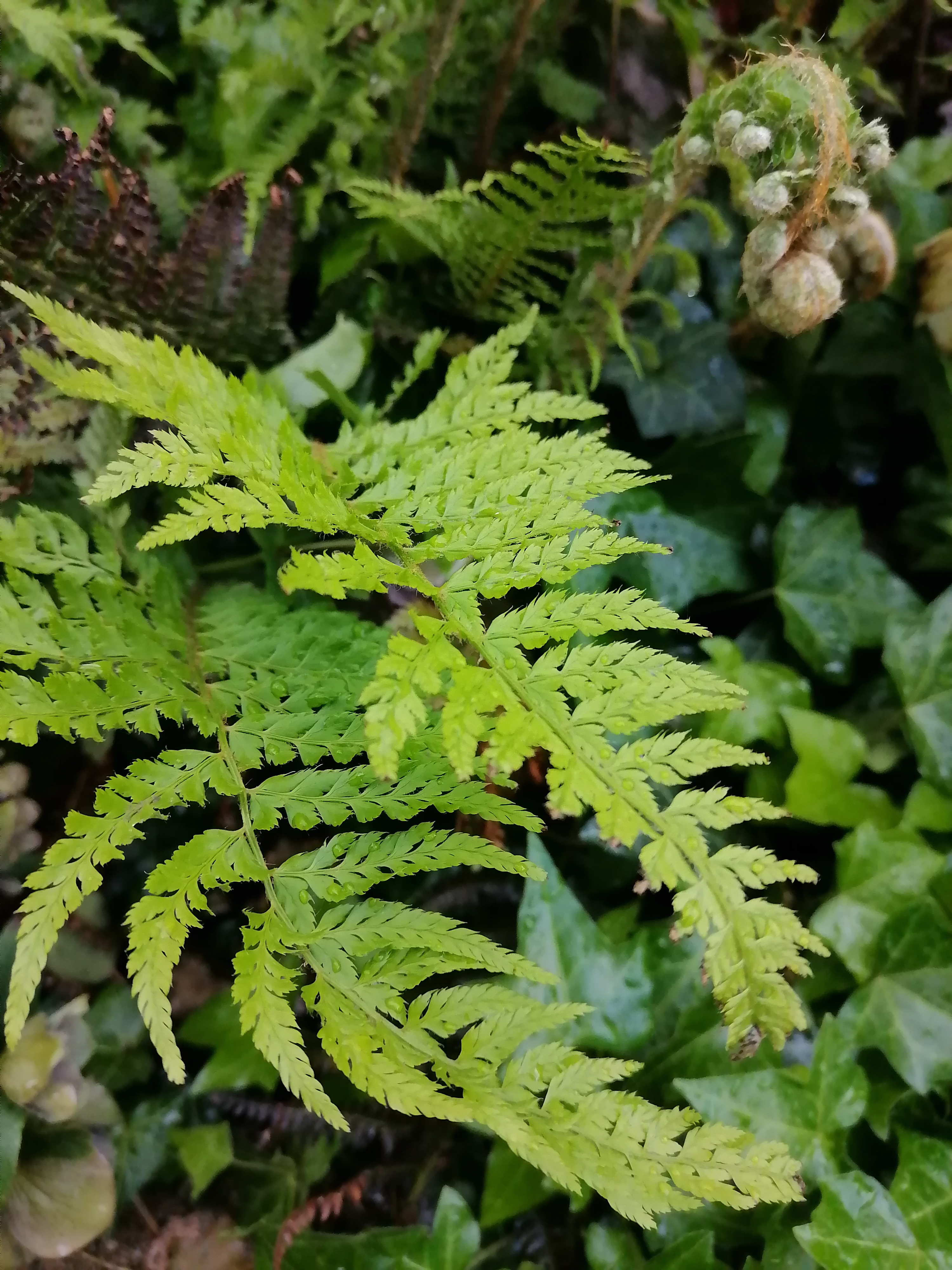 pspanAvant-tout-je-souhaite-mexcuser-pour-cette-sélection-photo-de-la