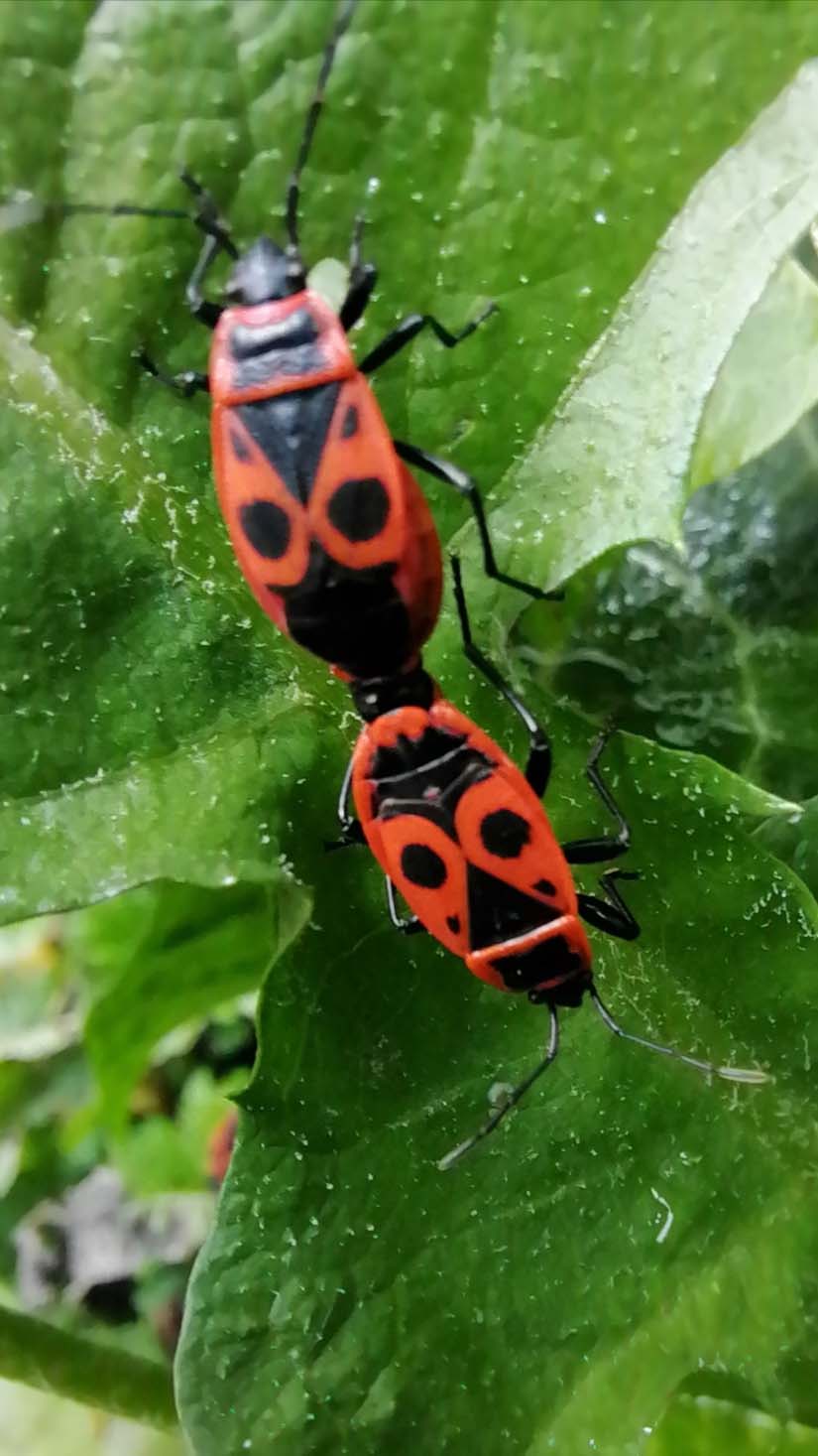 pspanAvant-tout-je-souhaite-mexcuser-pour-cette-sélection-photo-de-la
