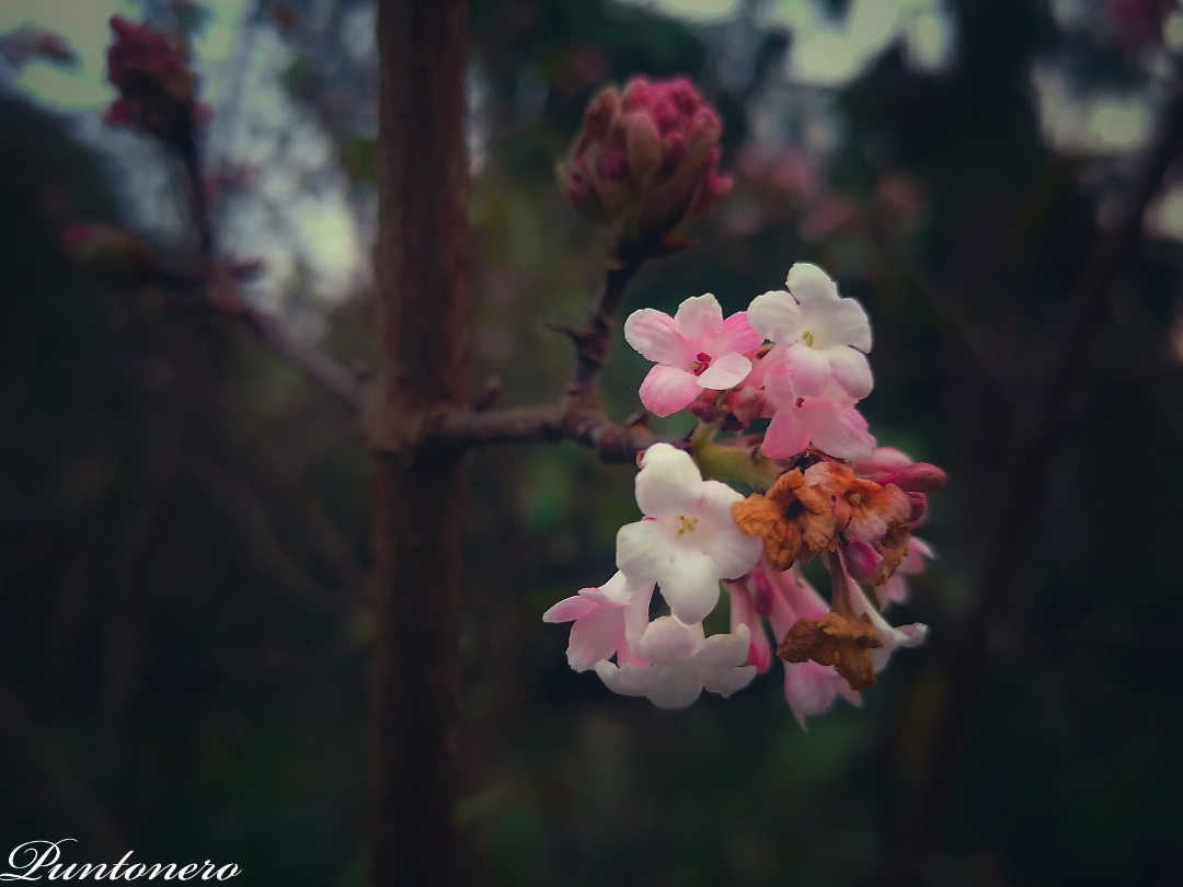 pspanAvant-tout-je-souhaite-mexcuser-pour-cette-sélection-photo-de-la