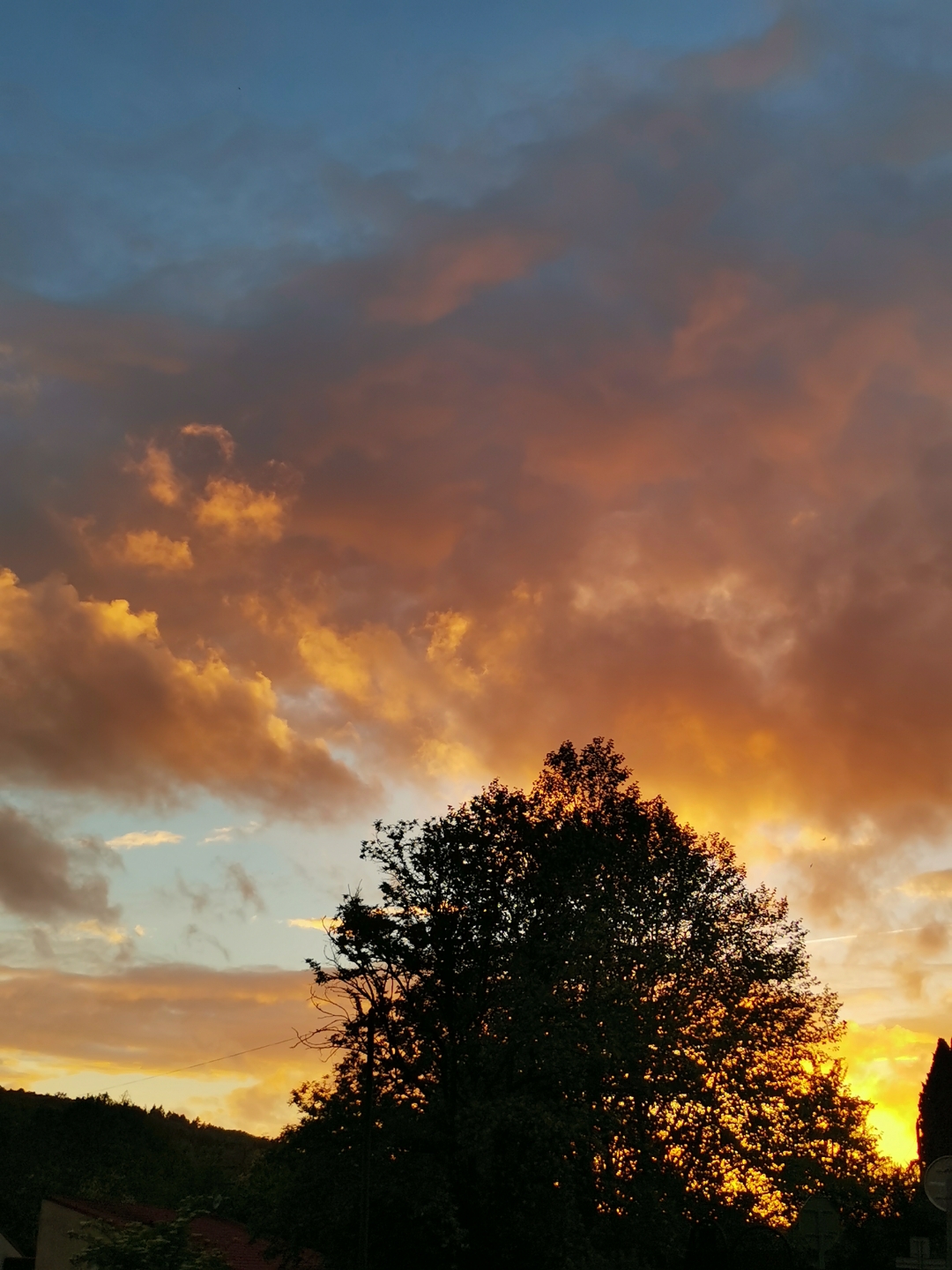 pspanAvant-tout-je-souhaite-mexcuser-pour-cette-sélection-photo-de-la