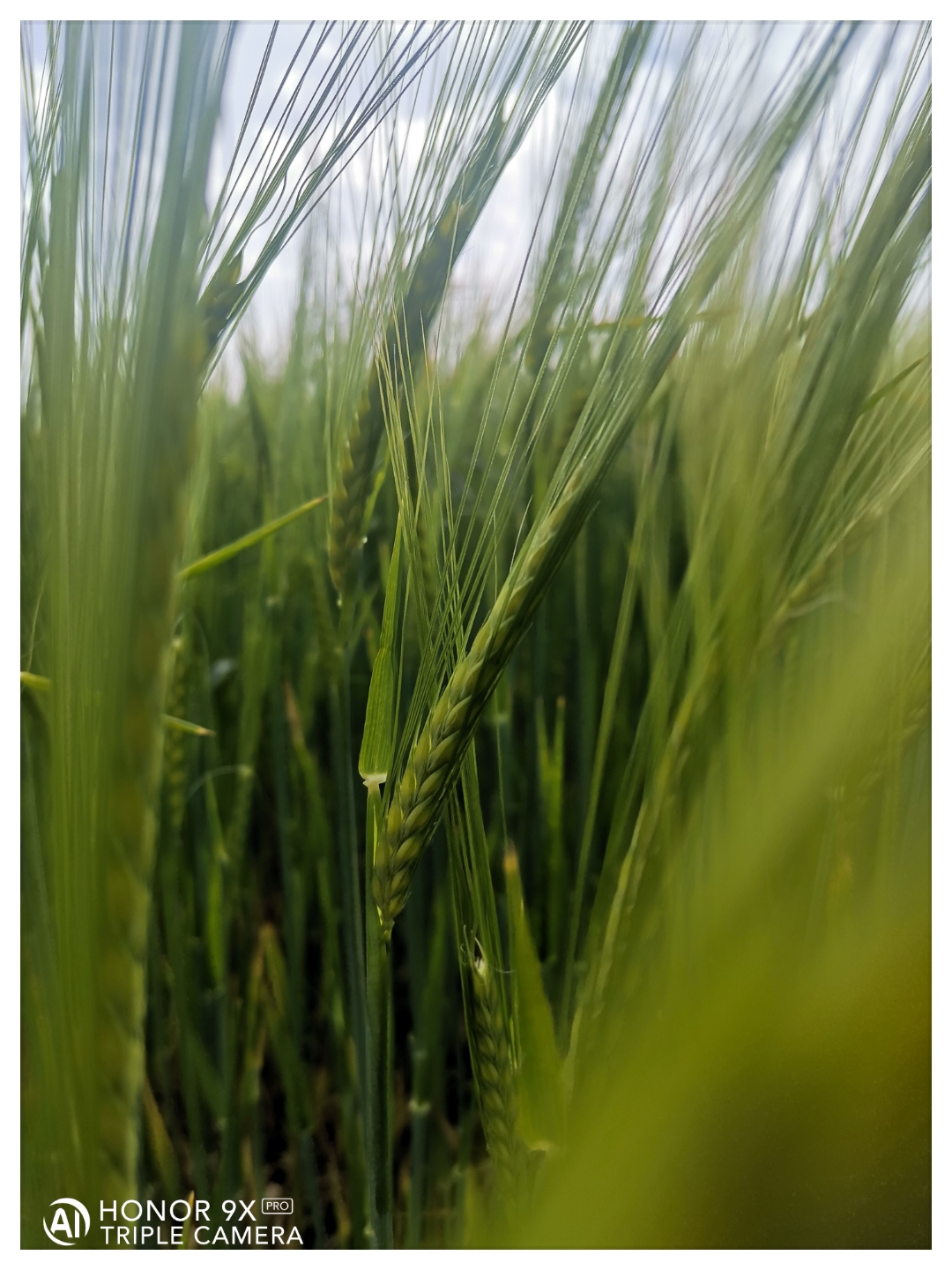 pspanAvant-tout-je-souhaite-mexcuser-pour-cette-sélection-photo-de-la