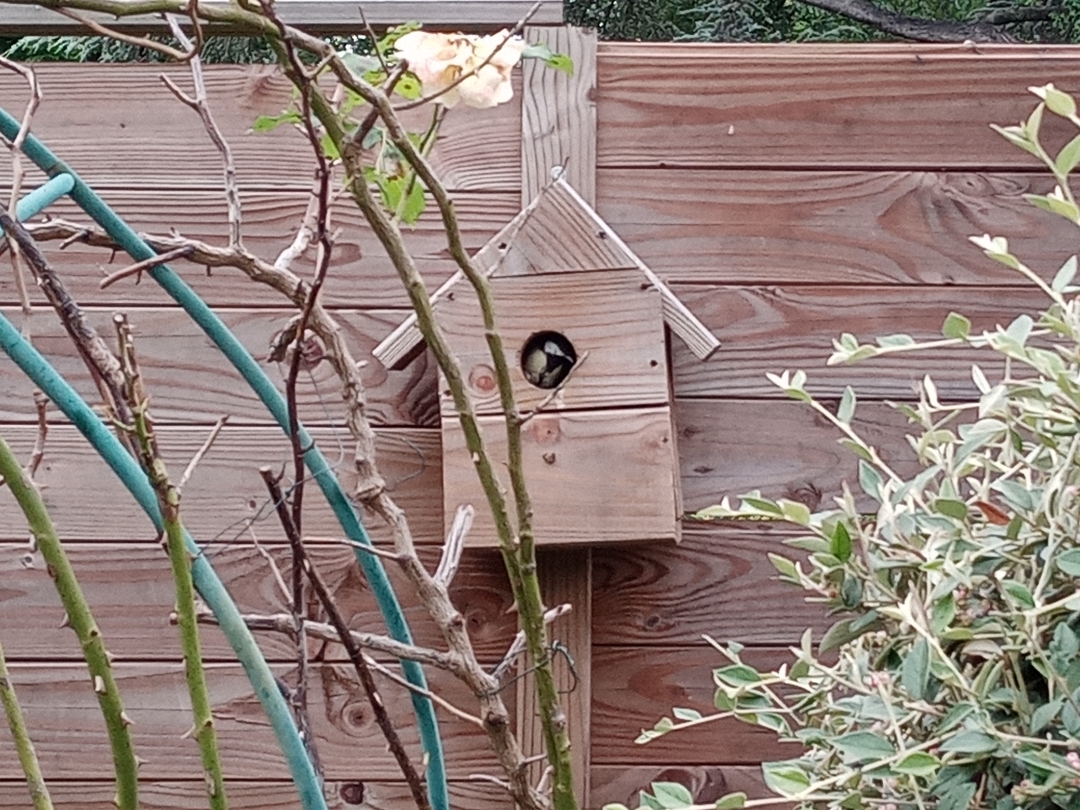 pimg-srchttpsiforum-dechihonorcomfrdataimages2021626ff3f18f3-82aa-4369