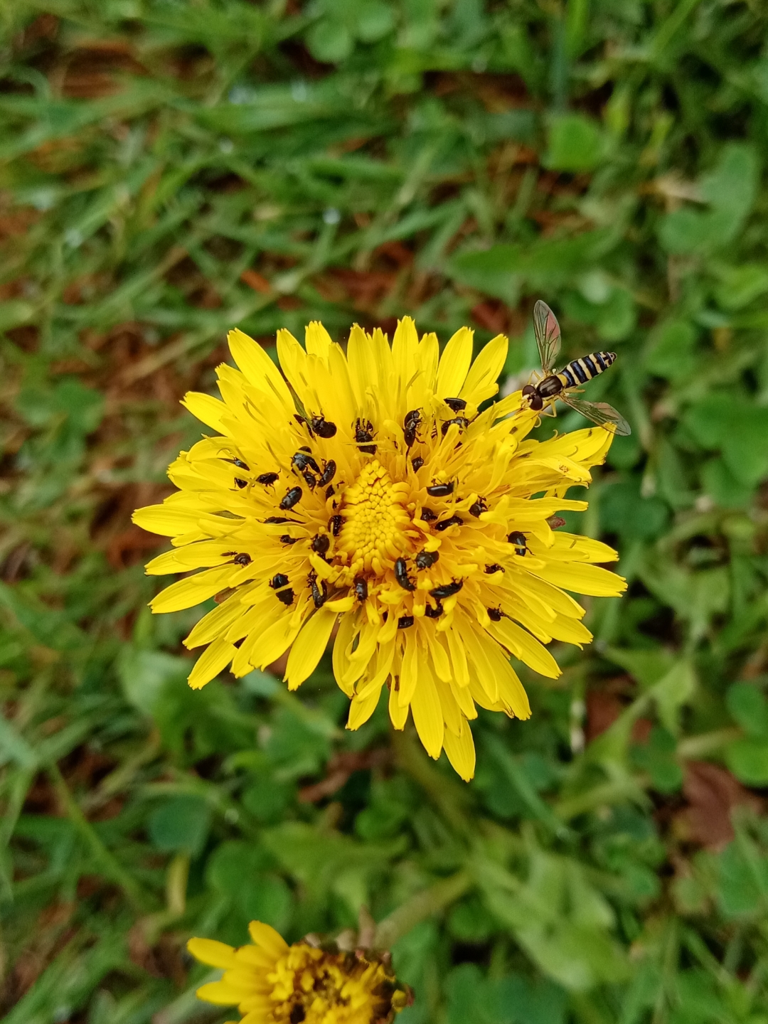 pLe-week-end-est-passé-à-une-vitesse-folle-non-Ah-nous-voilà-déjà