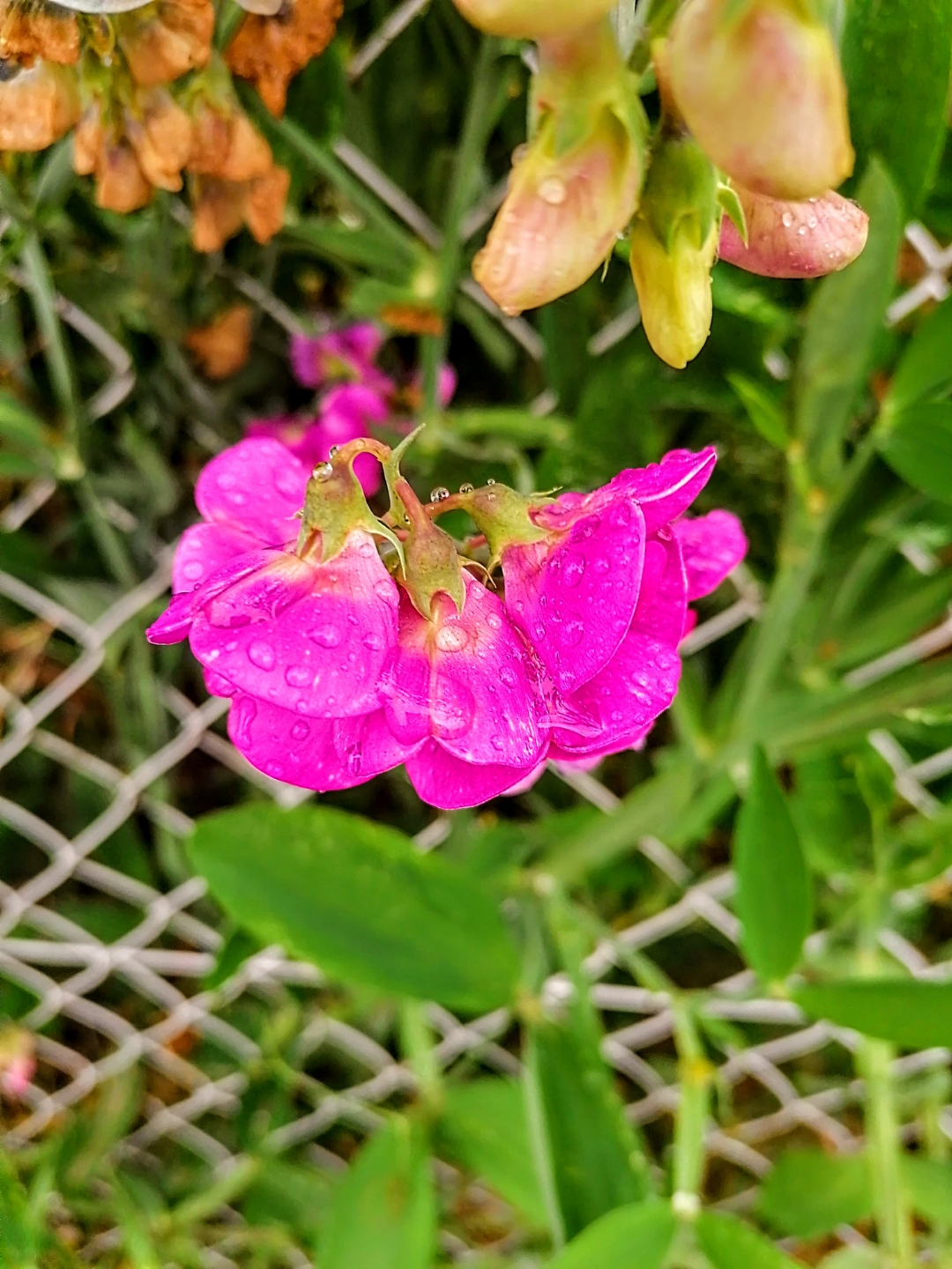 pLe-week-end-est-passé-à-une-vitesse-folle-non-Ah-nous-voilà-déjà