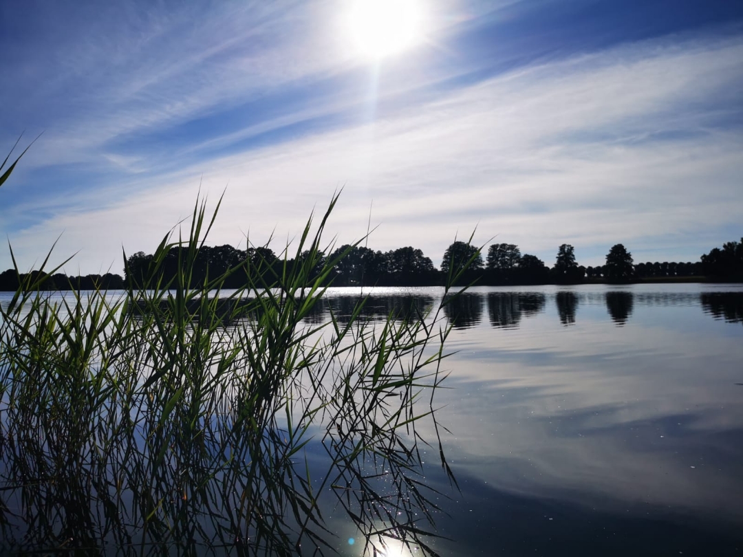 pLe-week-end-est-passé-à-une-vitesse-folle-non-Ah-nous-voilà-déjà