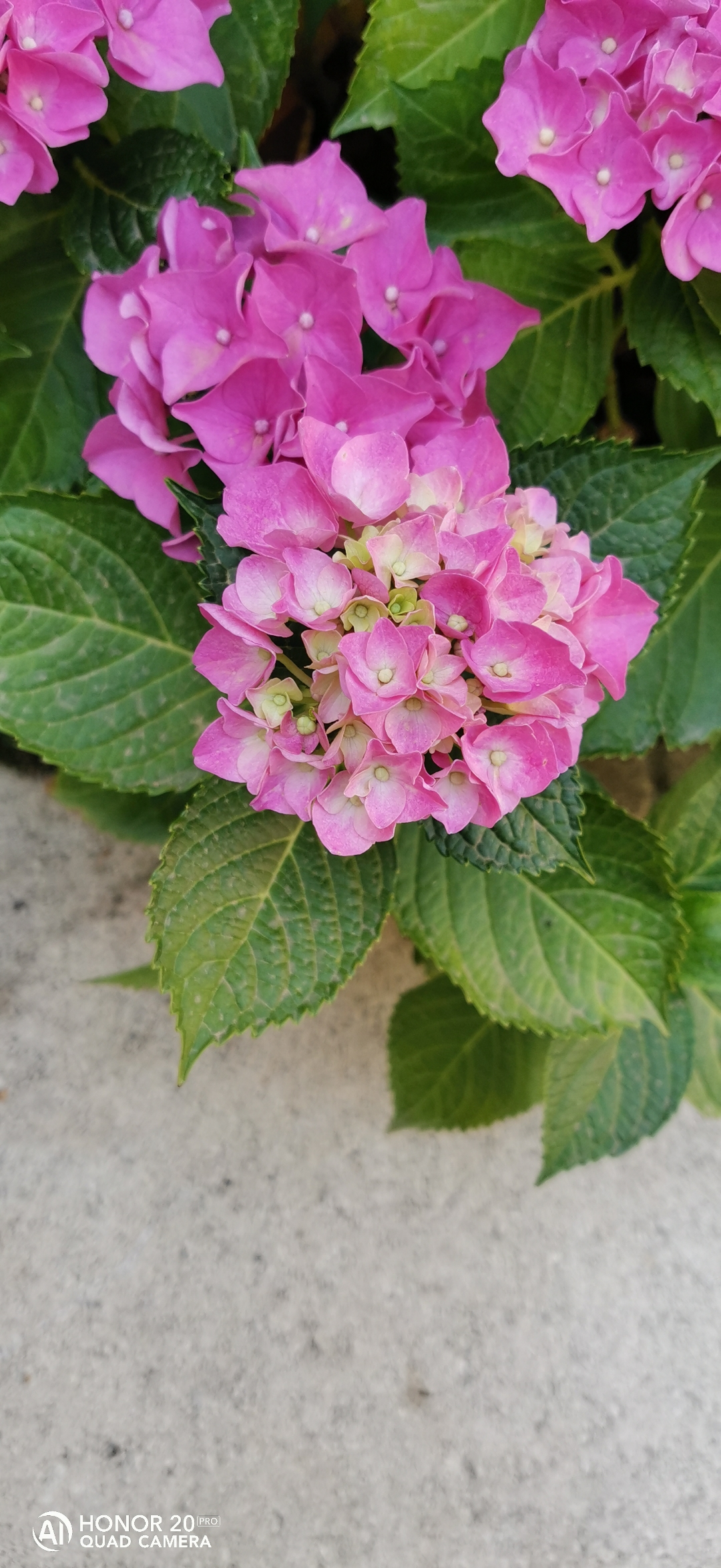 pLe-week-end-est-passé-à-une-vitesse-folle-non-Ah-nous-voilà-déjà