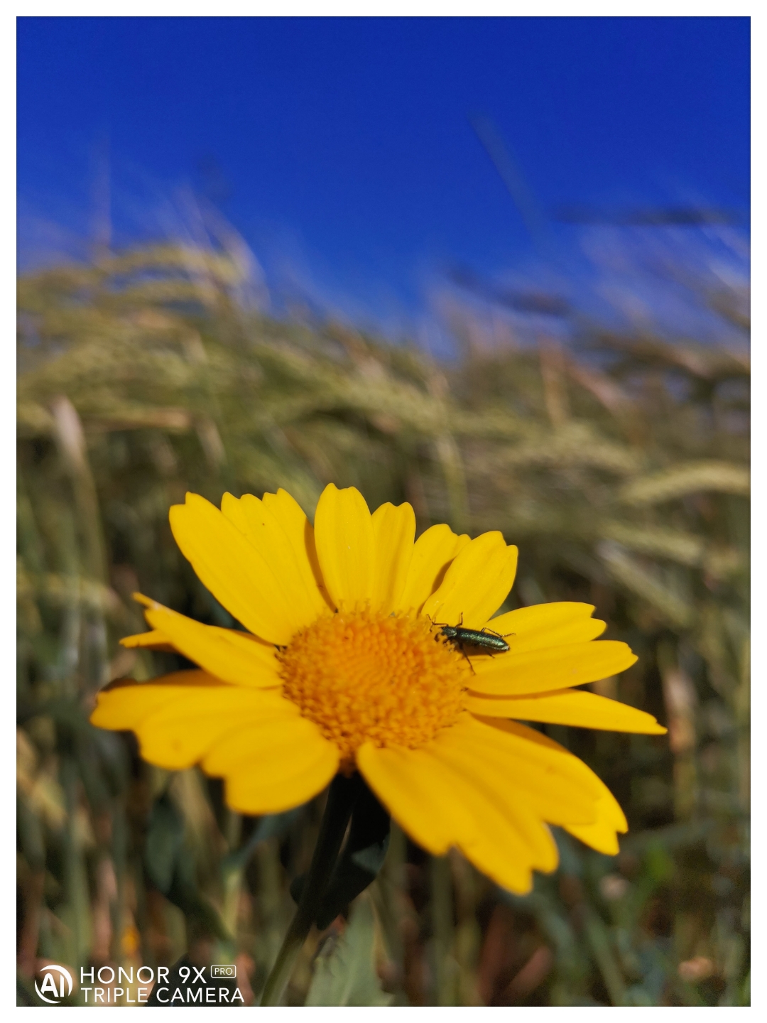 pLe-week-end-est-passé-à-une-vitesse-folle-non-Ah-nous-voilà-déjà