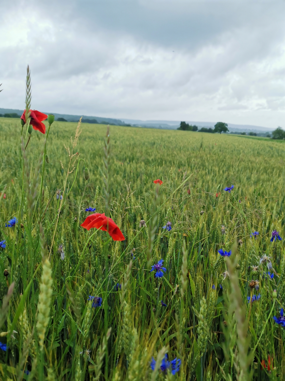 pLe-week-end-est-passé-à-une-vitesse-folle-non-Ah-nous-voilà-déjà