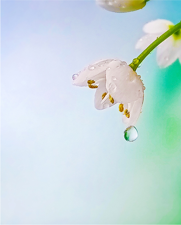 pspan-stylefont-size18pxspanBonjour-à-tous-les-fans