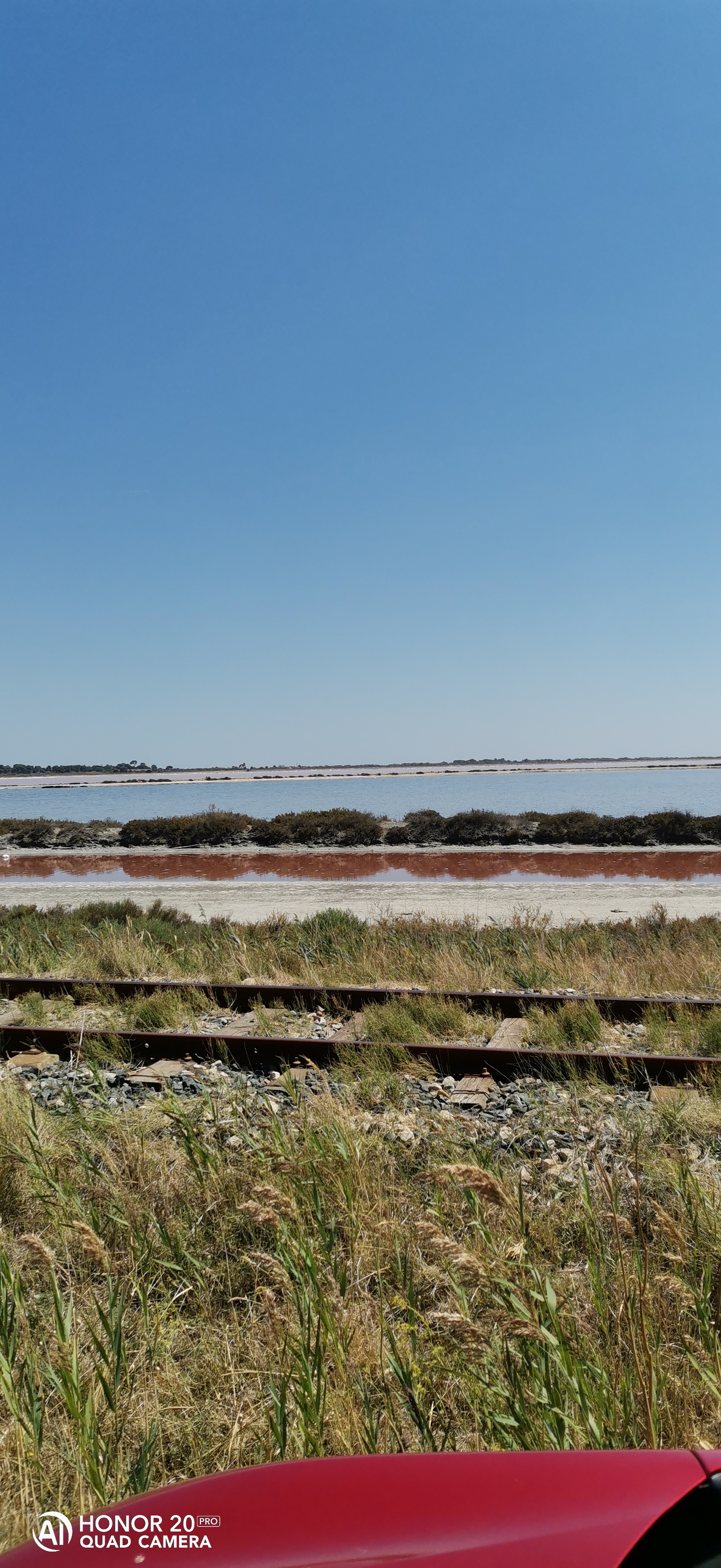 pimg-srchttpsiforum-dechihonorcomfrdataimages20218277dd165f4-8dda-4764