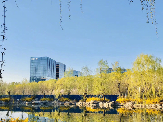 pBonjourppbrppHonor-vient-dinaugurer-ses-nouveaux-bureaux-à-Shenzhen