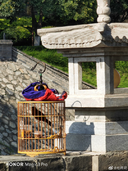 pBonjourppbrppJe-vous-propose-une-fois-de-plus-une-série-de-photos